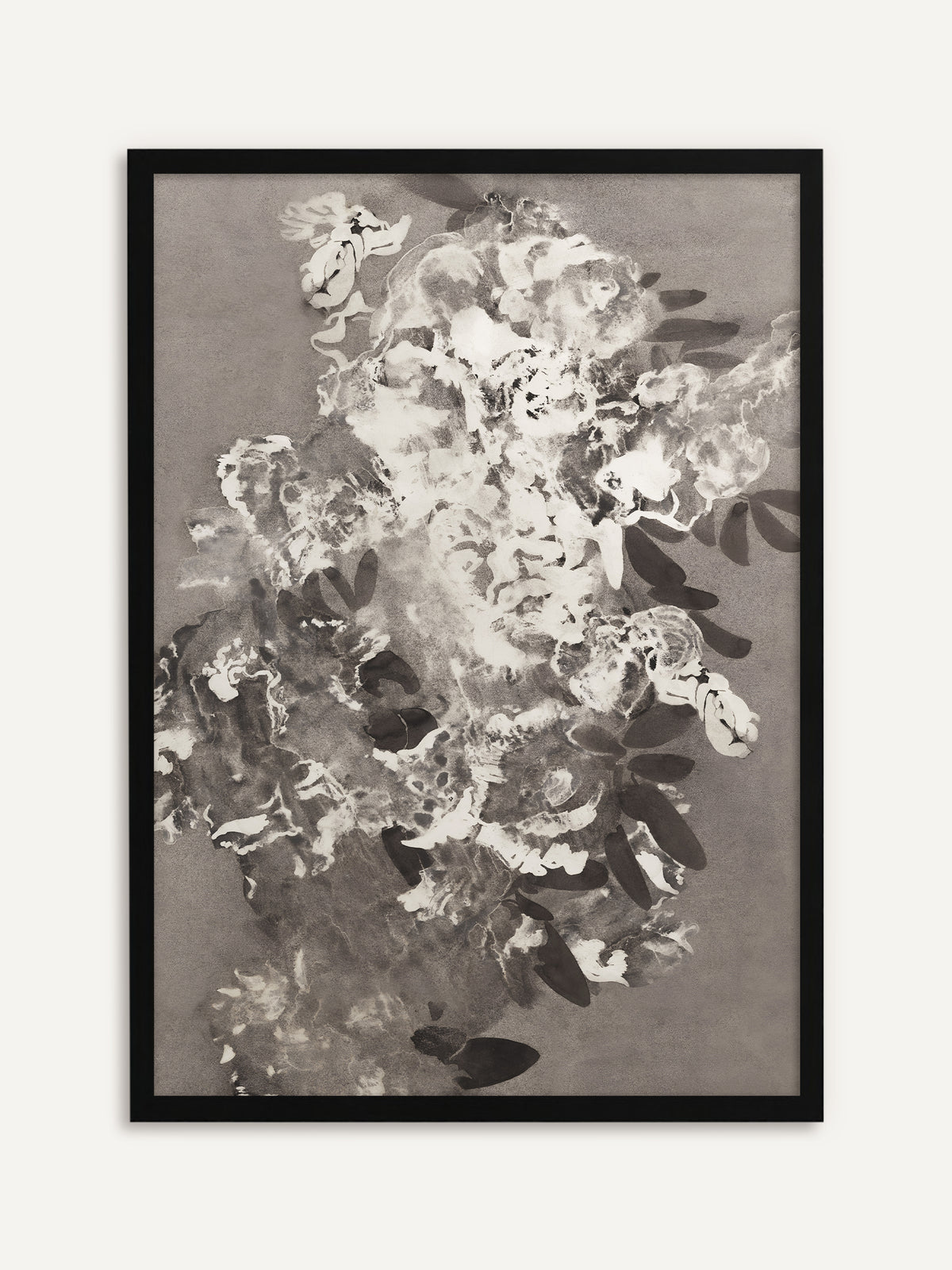 Gerahmtes Poster, das einen dichten Strauß heller Blüten mit schwarzen Blättern in Tusche und Weiß auf grauem Grund zeigt. Mit schwarzem Rahmen wirkt die Schattenblüte grafisch und klar, ganz im Japandi-Stil. #Rahmen_Schwarz