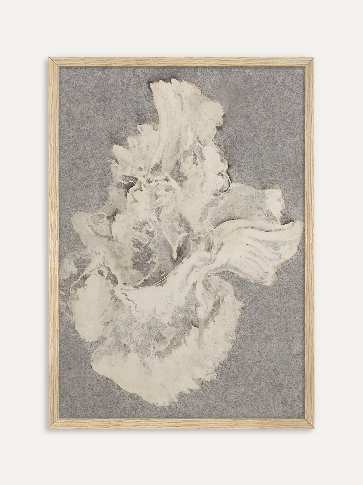 Kunstdruck, der eine einzelne große Blüte in Creme und Weiß mit gewellten Blütenblättern auf körnigem grauem Grund zeigt. Im Rahmen aus hellem Holz wirkt das zarte Wabi-Sabi-Motiv hell und ruhig. #Rahmen_Helles Holz
