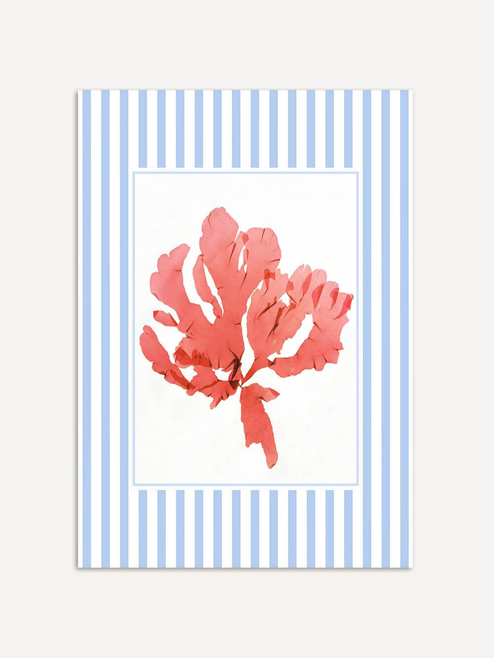 Roter Algen-Kunstdruck auf weißem Hintergrund mit hellblau-weiß gestreiftem Passepartout. Die maritime Illustration wirkt klar und modern mit einem Hauch Vintage.