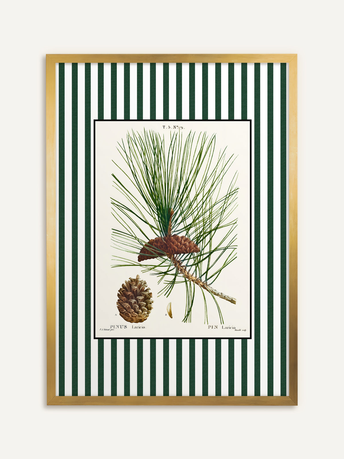 Wandbild, das einen Kiefernzweig mit langen Nadeln und braunen Zapfen auf cremefarbenem Grund mit grün-weiß gestreiftem Rand zeigt. Im goldenen Rahmen wirkt das Vintage Motiv wie ein antikes Sammlerblatt. #Rahmen_Gold