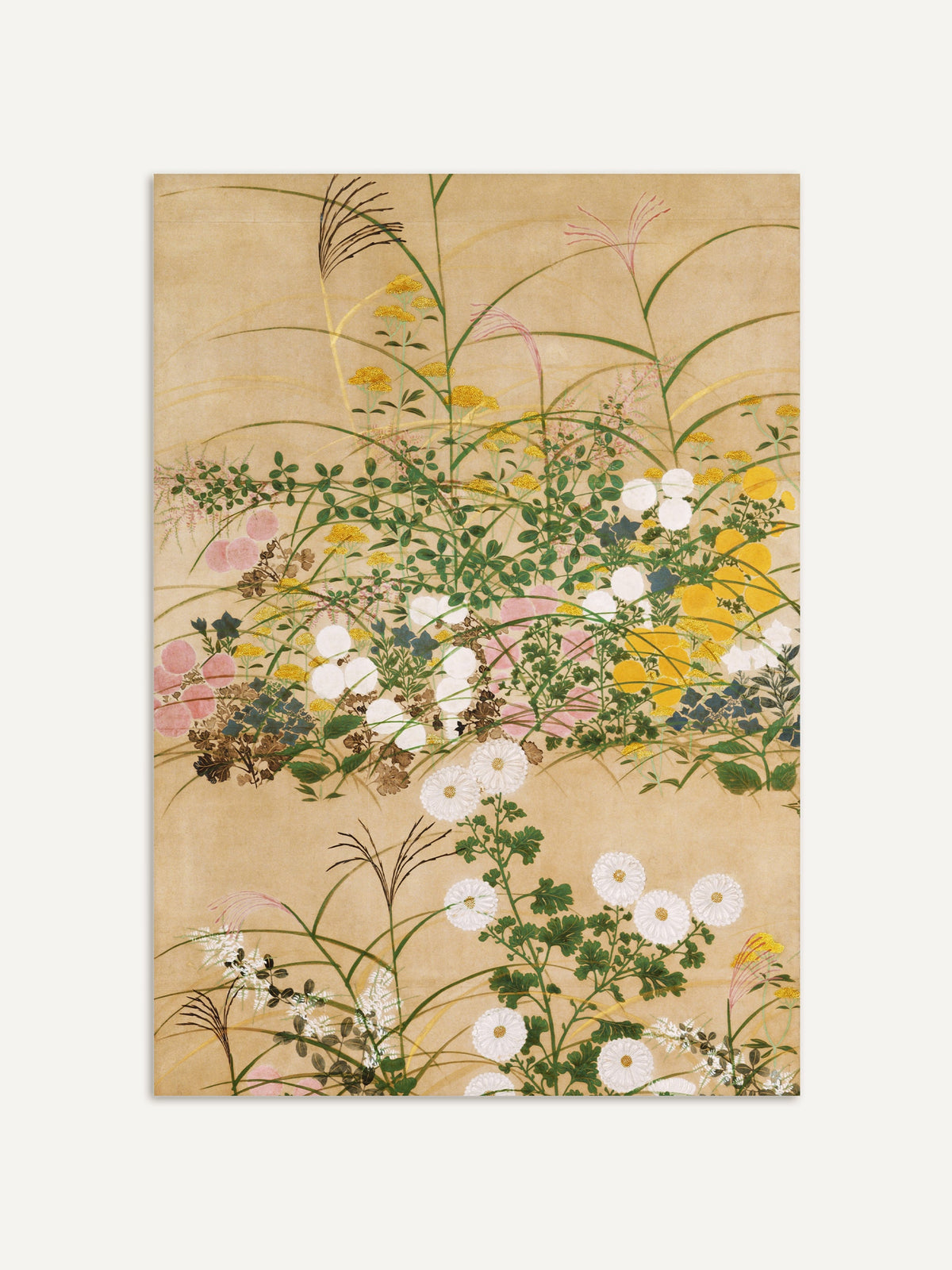Chinoiserie-Kunstdruck mit einer detailreichen Darstellung von Herbstblumen, darunter weiße Chrysanthemen, gelbes Pampasgras und zarte grüne Blätter, auf einem beigen Hintergrund. Die feinen Linien und weiche Farbpalette verleihen dem Kunstwerk eine ruhige, natürliche Ästhetik. #Rahmen_Ohne Rahmen