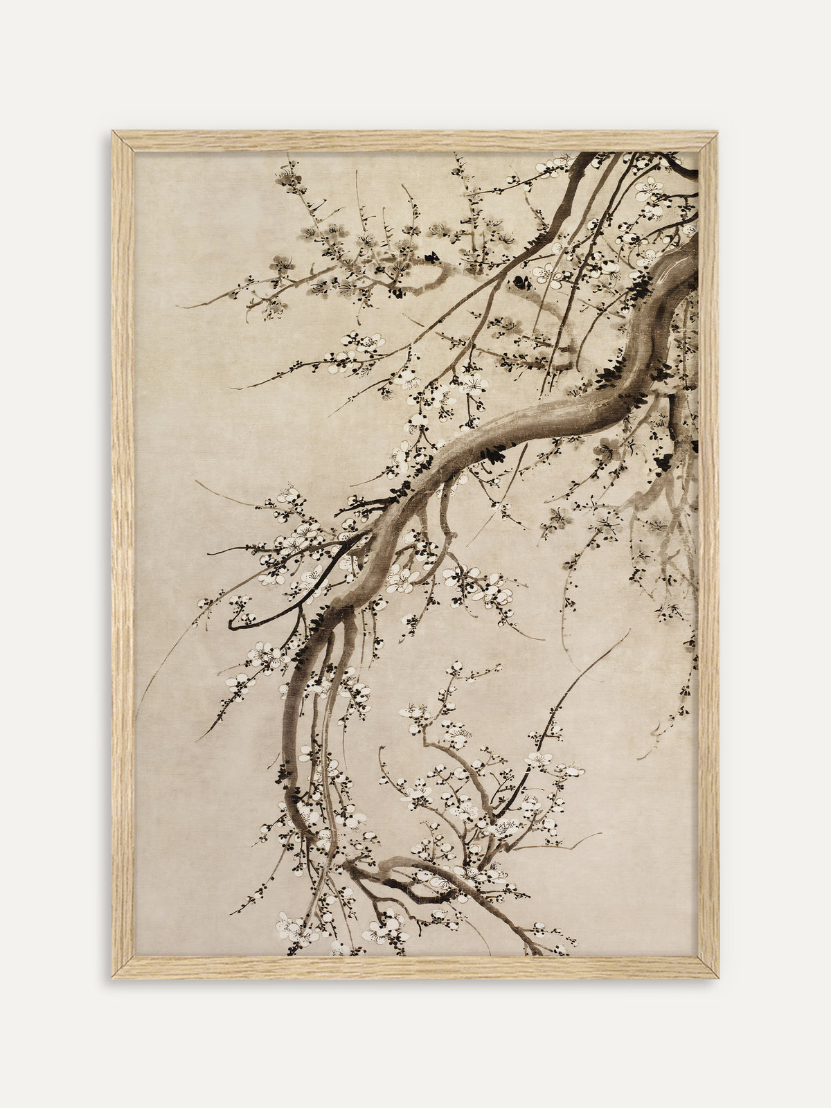 Kunstdruck, der einen knorrigen Zweig mit vielen kleinen weißen Blüten in brauner Tusche auf hellem, gealtertem Grund zeigt. Im Rahmen aus hellem Holz wirkt das Motiv leicht und passt zu Japandi Räumen. #Rahmen_Helles Holz