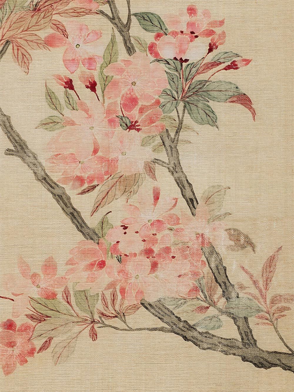 Fein gezeichneter Kunstdruck mit rosa Kirschblüten auf beigen, texturierten Hintergrund. Die Illustration wirkt lebendig durch sanfte Linien und natürliche Farbnuancen.