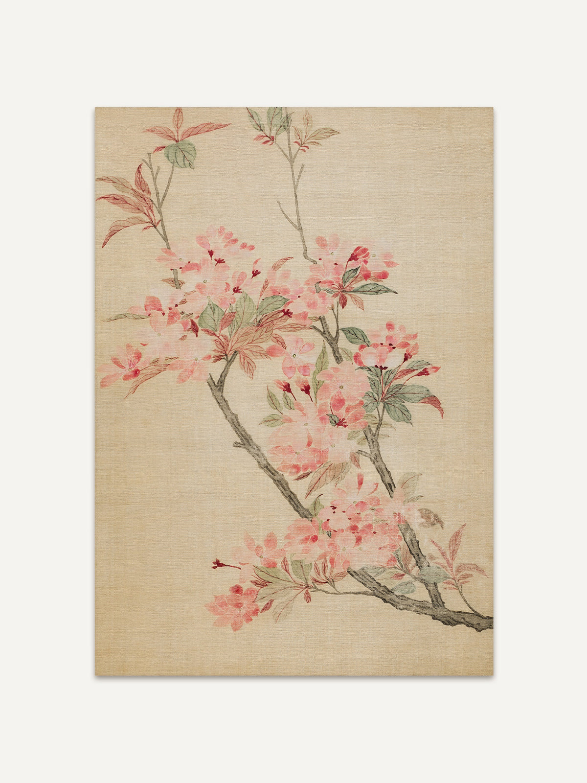 Japandi Kunstdruck mit zarten rosa Kirschblüten und grünen Blättern auf beigem Hintergrund. Die Illustration erinnert an eine botanische Vintage Zeichnung und strahlt Ruhe aus. #Rahmen_Ohne Rahmen