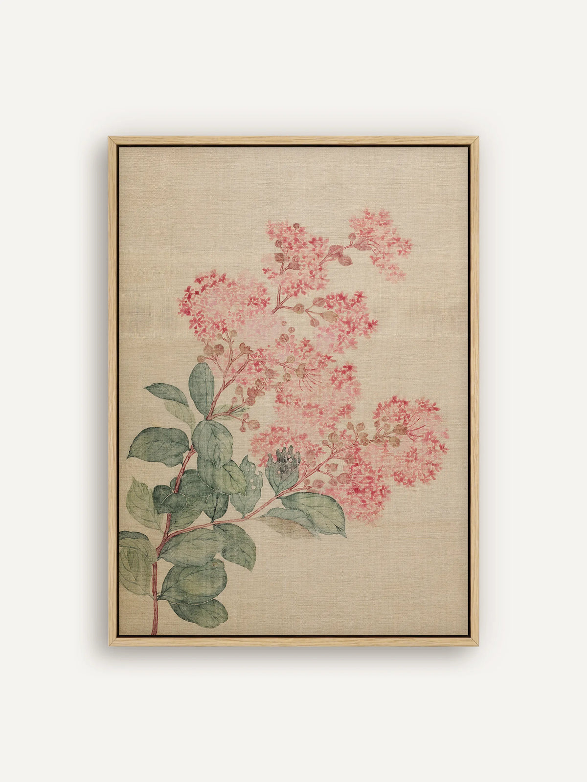 Leinwandbild mit rosa Hortensienblüten in lockeren Rispen und salbeigrünen Blättern an roten Stielen auf warmem Beige im Schattenfugenrahmen in Natur. Chinoiserie Wandbild nach Ma Yuanyu. #Rahmen_Natur