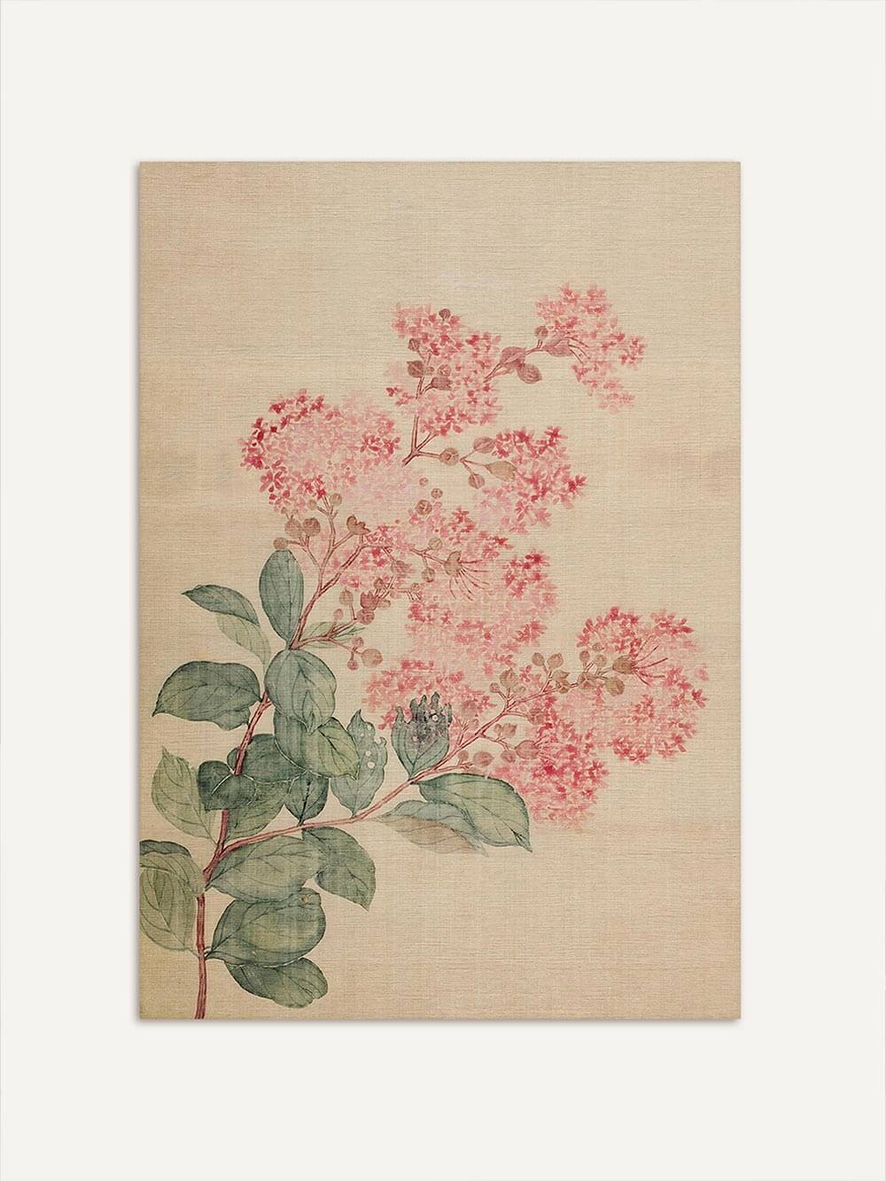 Botanischer Kunstdruck mit feinen rosa Blüten und grünen Blättern auf hellem Hintergrund. Die Vintage Illustration wirkt zart und naturverbunden.