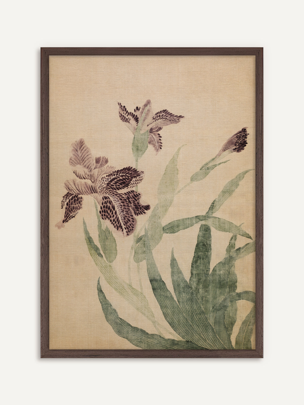Poster, das zwei violette Irisblüten mit dunkel gesprenkelten Blütenblättern, einer Knospe und schmalen grünen Blättern auf beigem Seidengrund zeigt. Der Rahmen aus dunklem Holz greift das tiefe Violett der Blüten auf und wirkt moody. #Rahmen_Dunkles Holz