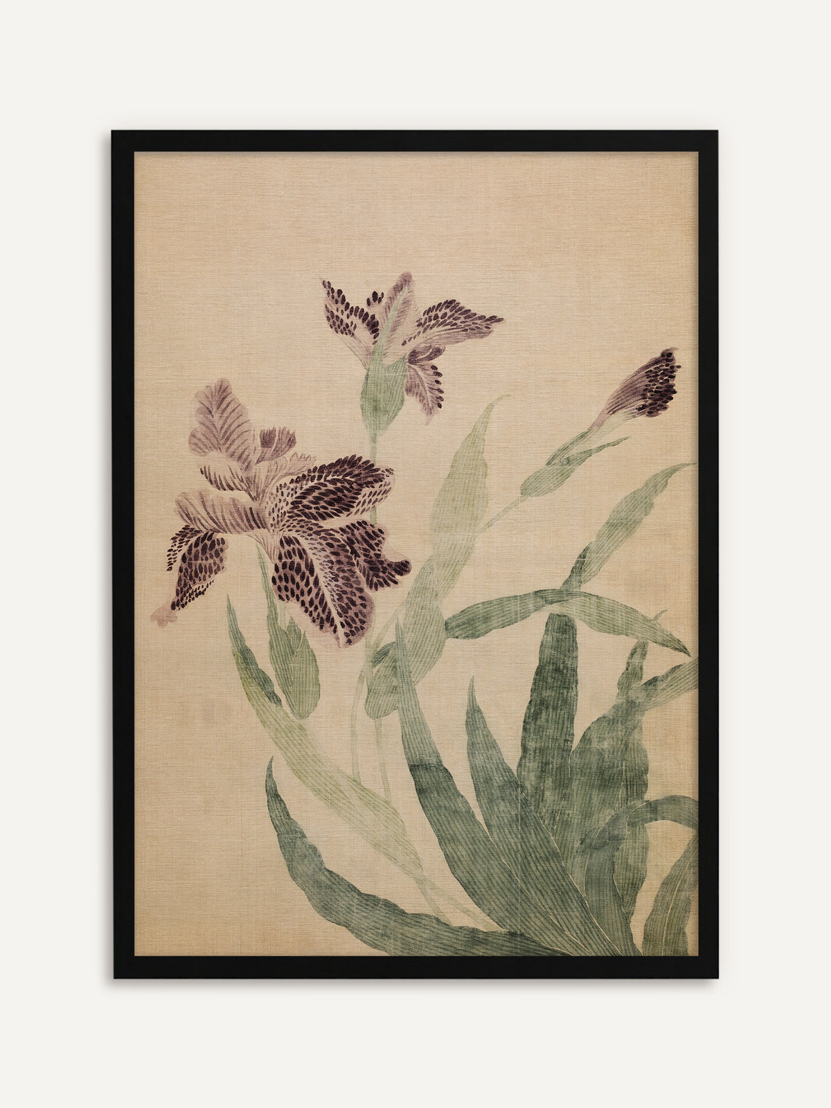 Gerahmtes Poster, das zwei violette Irisblüten mit dunkel gesprenkelten Blütenblättern, einer Knospe und schmalen grünen Blättern auf beigem Seidengrund zeigt. Mit schwarzem Rahmen bekommt das Vintage Motiv eine klare Kontur. #Rahmen_Schwarz