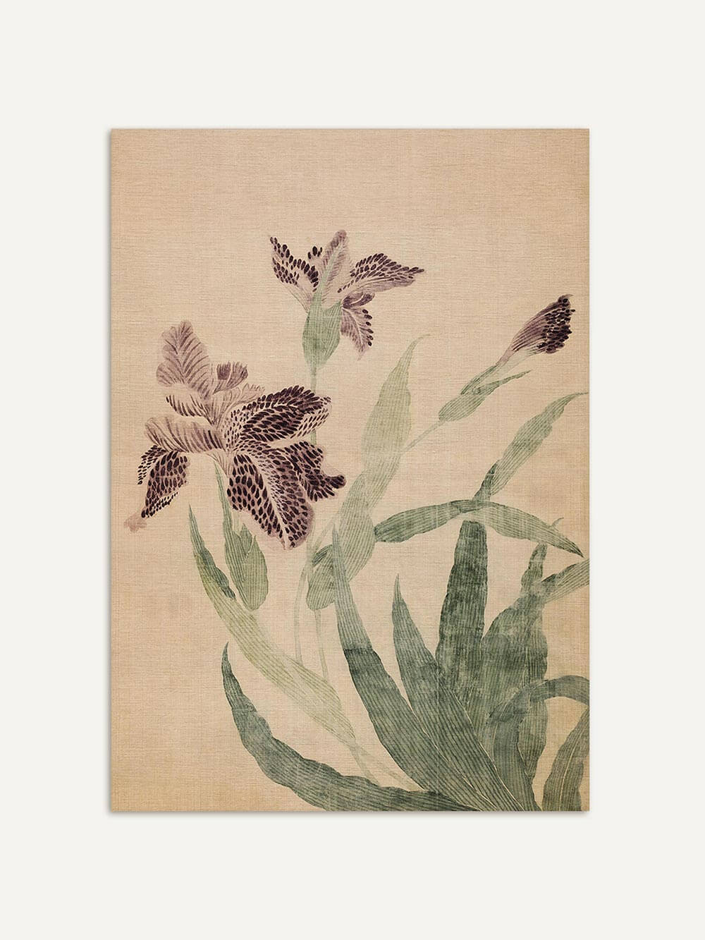Kunstdruck einer Vintage Irisblüte mit detailreichen Blättern und zarten Farben auf beigefarbenem Grund. Die Komposition strahlt Ruhe und Eleganz aus.