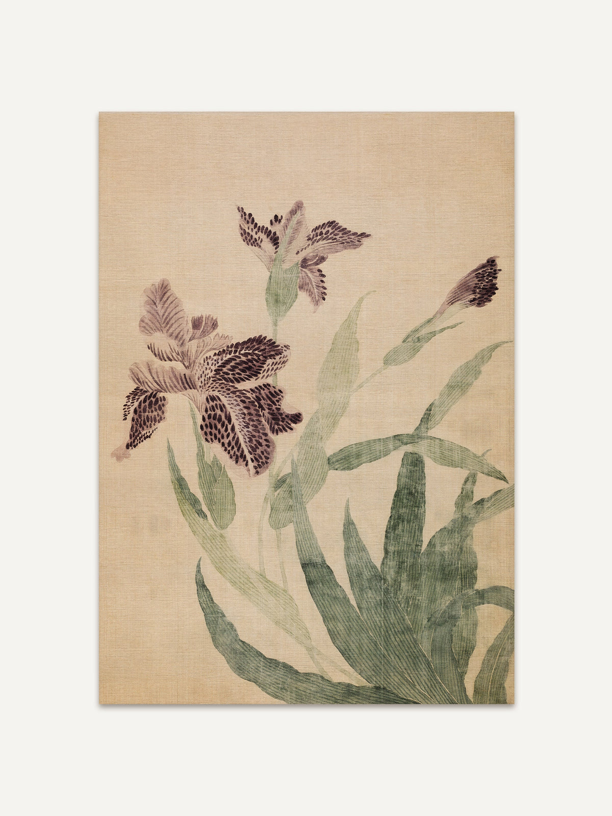 Kunstdruck einer Vintage Irisblüte mit detailreichen Blättern und zarten Farben auf beigefarbenem Grund. Die Komposition strahlt Ruhe und Eleganz aus. #Rahmen_Ohne Rahmen
