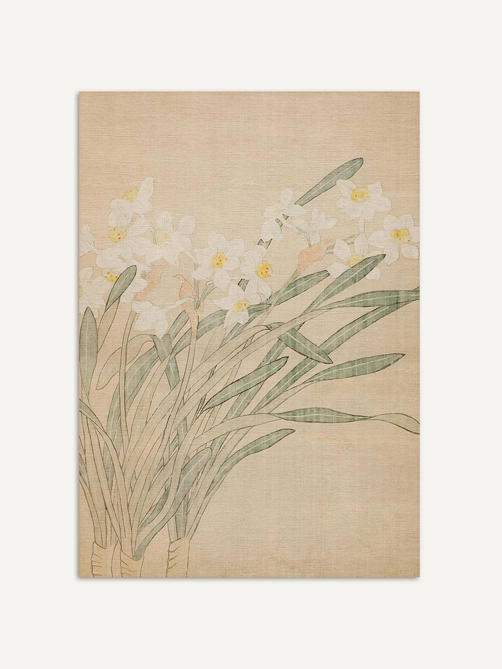 Botanischer Kunstdruck mit weißen Narzissen und grünen Blättern auf beigem Grund. Die zarte Blumen Kunst strahlt Ruhe und zeitlose Eleganz aus.