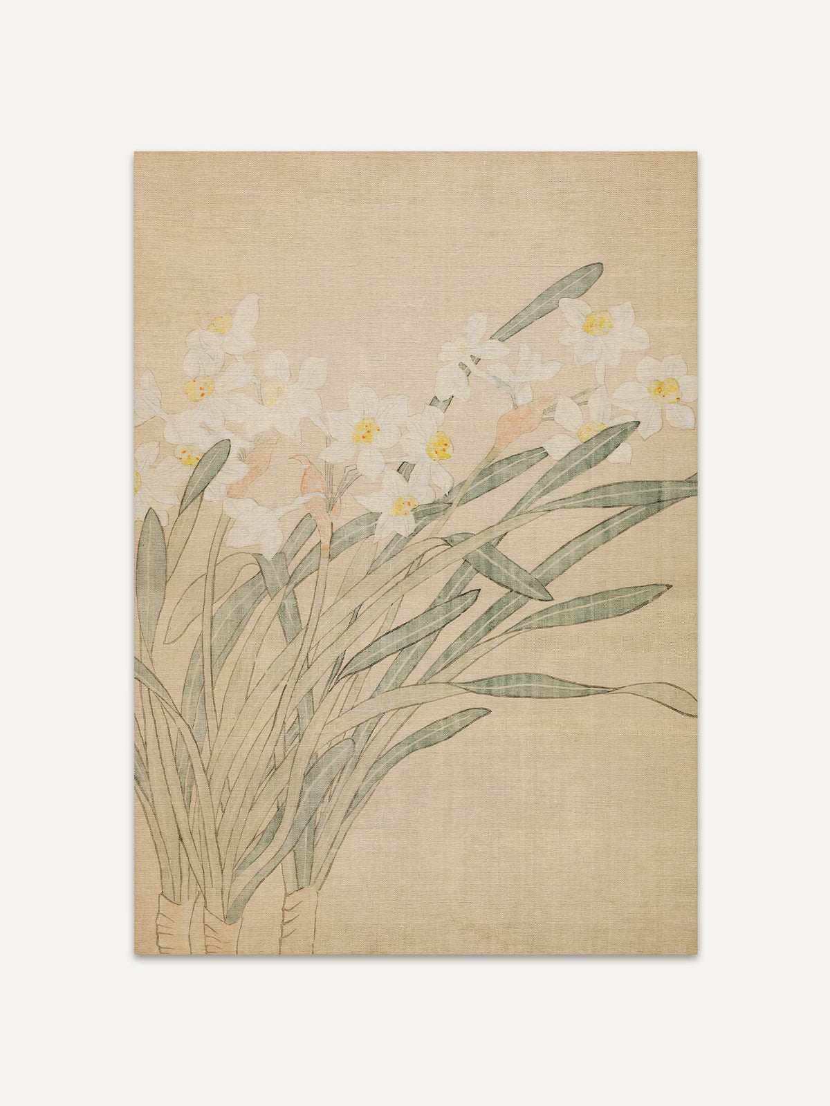 Botanischer Kunstdruck mit weißen Narzissen und grünen Blättern auf beigem Grund. Die zarte Blumen Kunst strahlt Ruhe und zeitlose Eleganz aus. #Rahmen_Ohne Rahmen