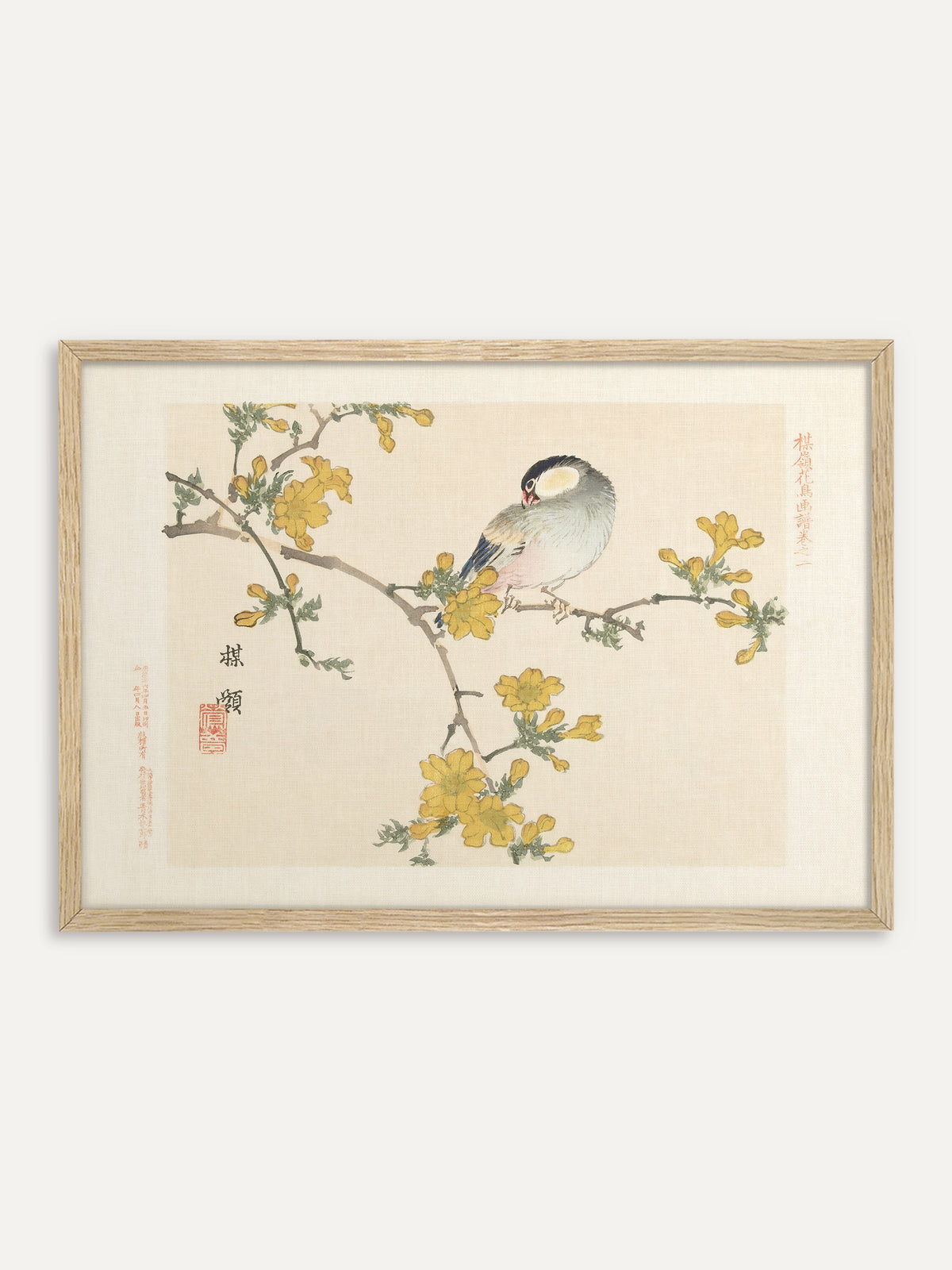Kunstdruck, der einen grau-weißen Vogel mit schwarzer Kappe zeigt, der sich auf einem Zweig mit gelben Blüten das Gefieder putzt, vor cremefarbenem Grund mit Schriftzeichen und rotem Siegel. Im Rahmen aus hellem Holz wirkt das zarte Motiv luftig und passt zu einer Einrichtung im Japandi-Stil. #Rahmen_Helles Holz