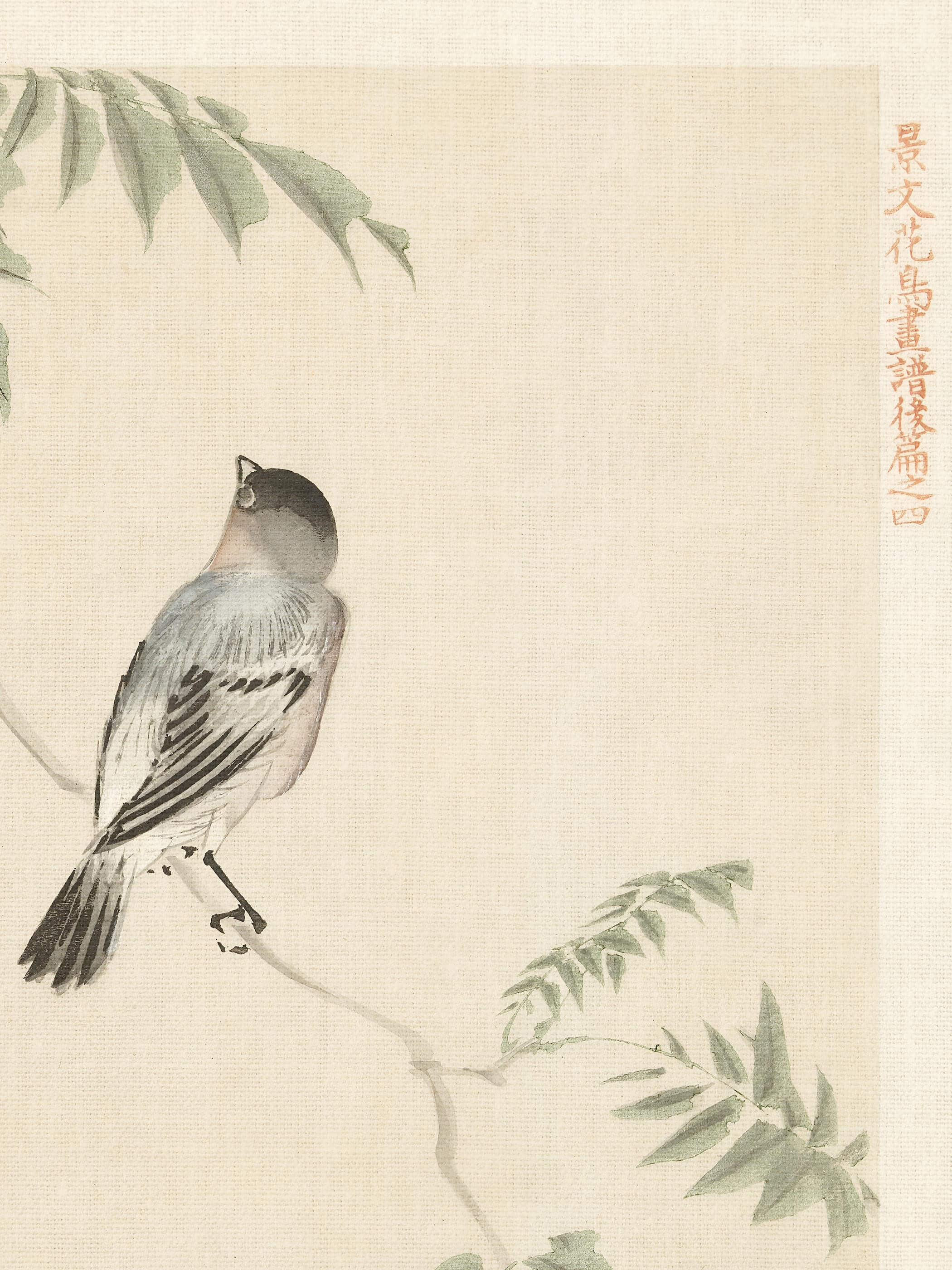 Nahaufnahme des Chinoiserie Kunstdrucks zeigt das fein gezeichnete graue Gefieder des Vogels mit schwarz-weißer Streifenzeichnung im Detail. Die zarten Farbnuancen unterstreichen den vintage Charakter dieses Papierdrucks.