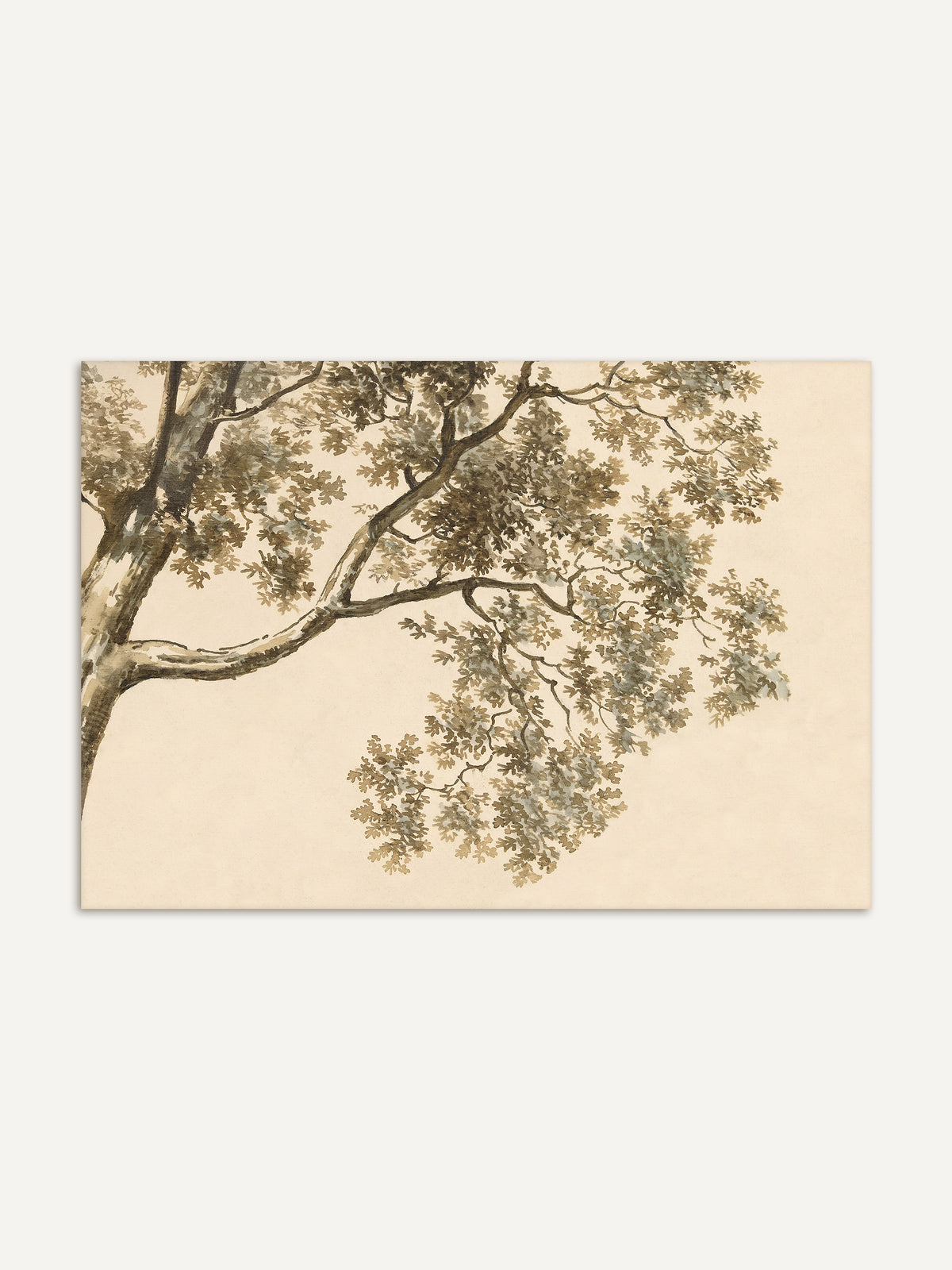 Kunstdruck im Querformat mit einem Baumstamm am linken Rand und einem weit ausladenden Ast mit gelapptem Laub in Sepia und Graublau auf warmem Beige. Eine Wabi Sabi Baum Zeichnung mit viel freier Fläche. #Rahmen_Ohne Rahmen