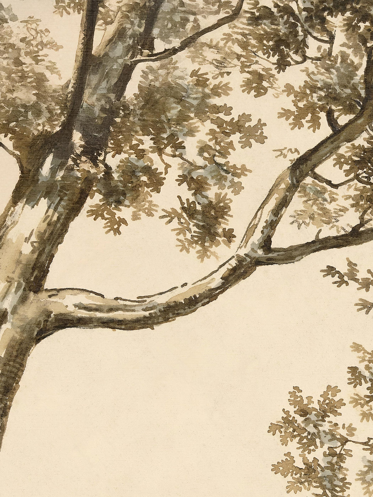 Nahaufnahme des Baumstamms und eines geschwungenen Asts mit gelapptem Laub in Sepia und Graublau. Die Detailaufnahme zeigt die feinen Linien und weichen Farbflächen der Vintage Zeichnung.