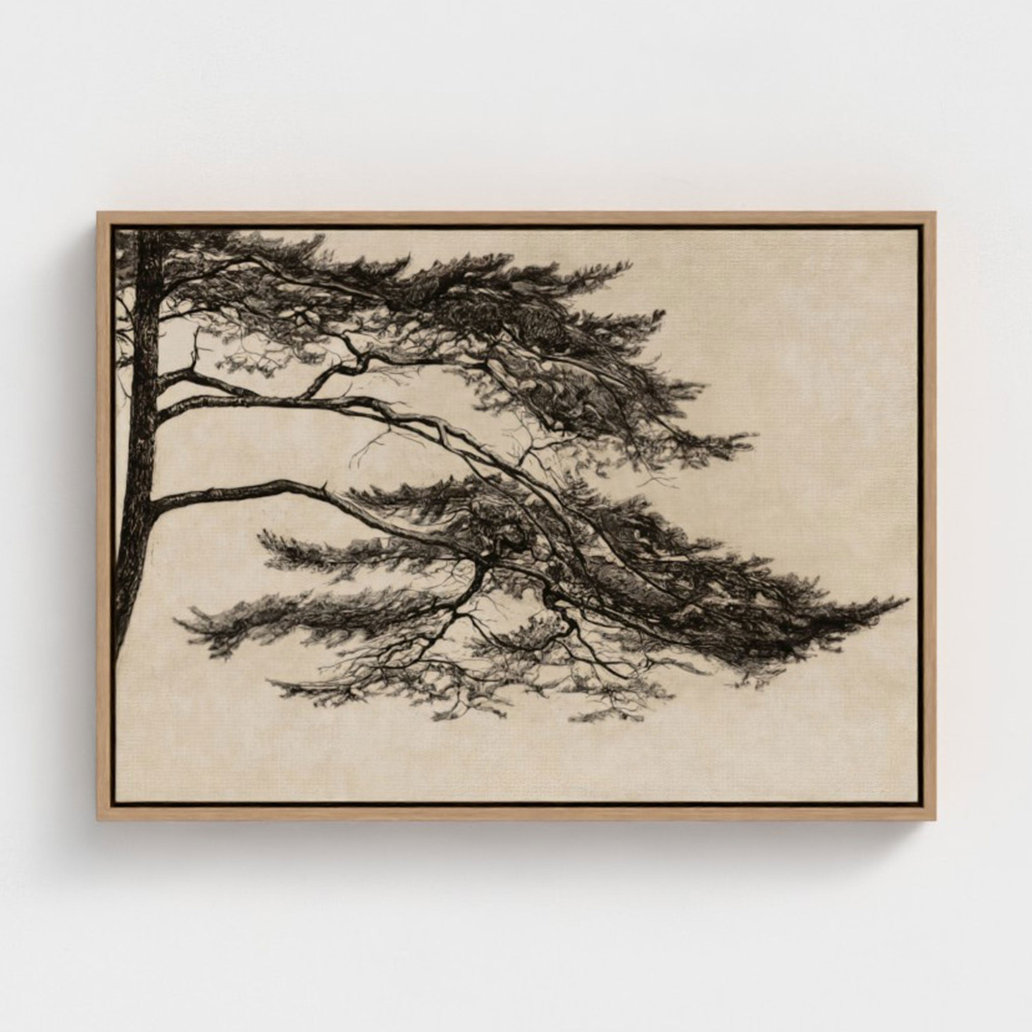 Japandi Kiefer