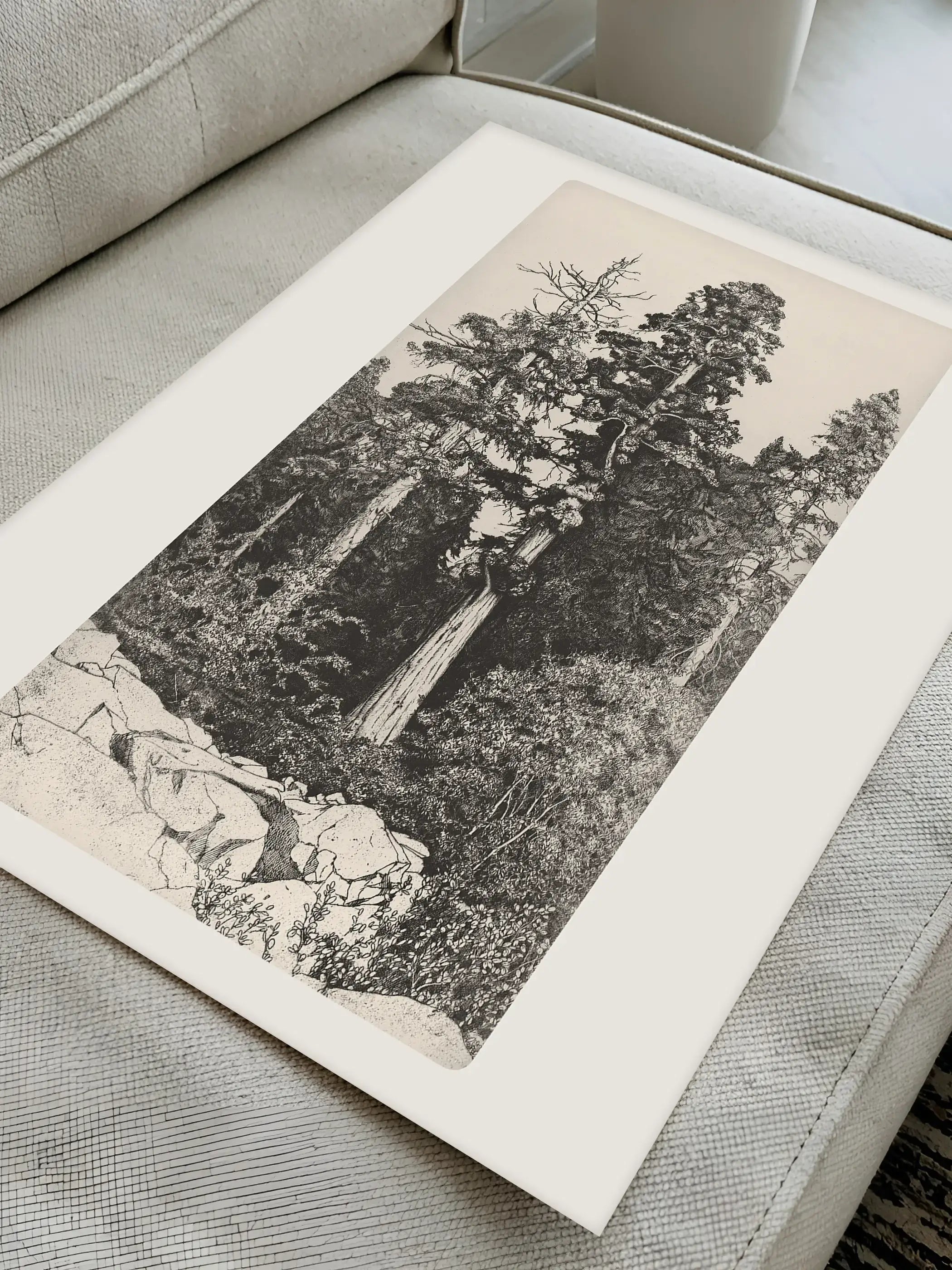 Der Kunstdruck liegt auf einem hellen Sofa und zeigt die feinen Details der Waldlandschaft aus nächster Nähe. Die monochrome Naturzeichnung wirkt elegant und eignet sich als botanisches Wandbild oder Poster.