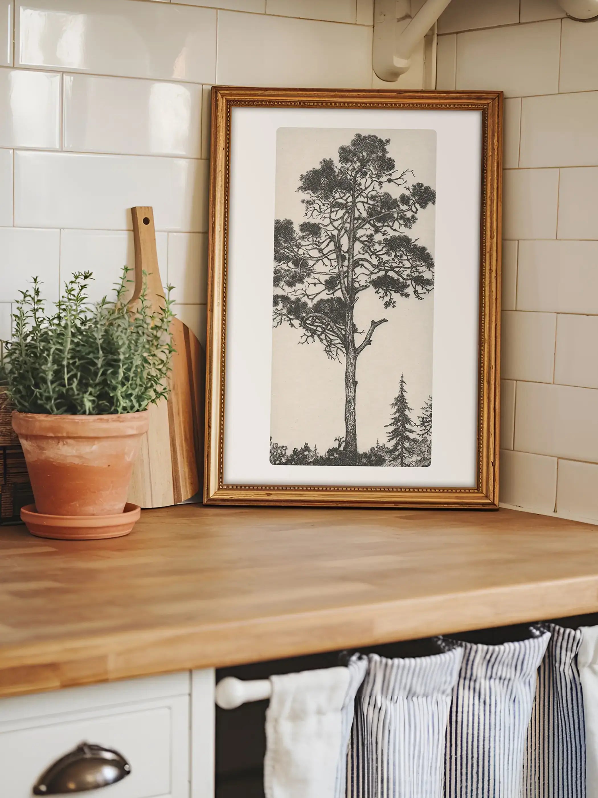Der gerahmte Kiefern-Kunstdruck lehnt auf einer Holzarbeitsplatte vor weißen Fliesen und sorgt für eine natürliche Atmosphäre. Das botanische Wandbild passt zu Cottagecore, Landhausstil und zeitlosen Küchen.