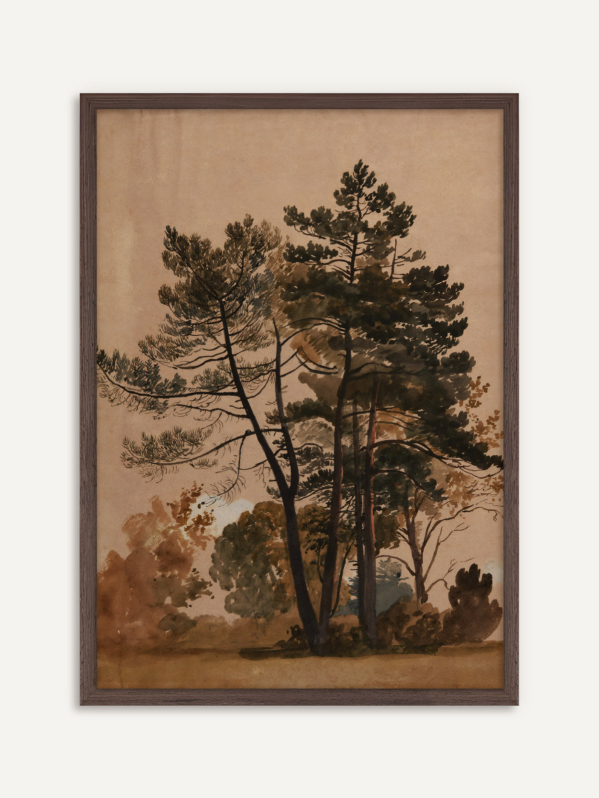 Poster, das hohe Kiefern mit dunklem Nadelwerk vor herbstlichem Laub in Olivgrün und Rostbraun auf warmem, rosigem Beige zeigt. Der Rahmen aus dunklem Holz greift die dunklen Stämme auf und passt zu Dark Academia. #Rahmen_Dunkles Holz