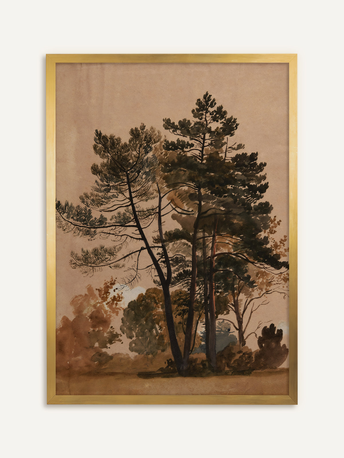 Wandbild, das hohe Kiefern mit dunklem Nadelwerk vor herbstlichem Laub in Olivgrün und Rostbraun auf warmem, rosigem Beige zeigt. Im goldenen Rahmen wirkt das Aquarell wie ein antikes Studienblatt. #Rahmen_Gold