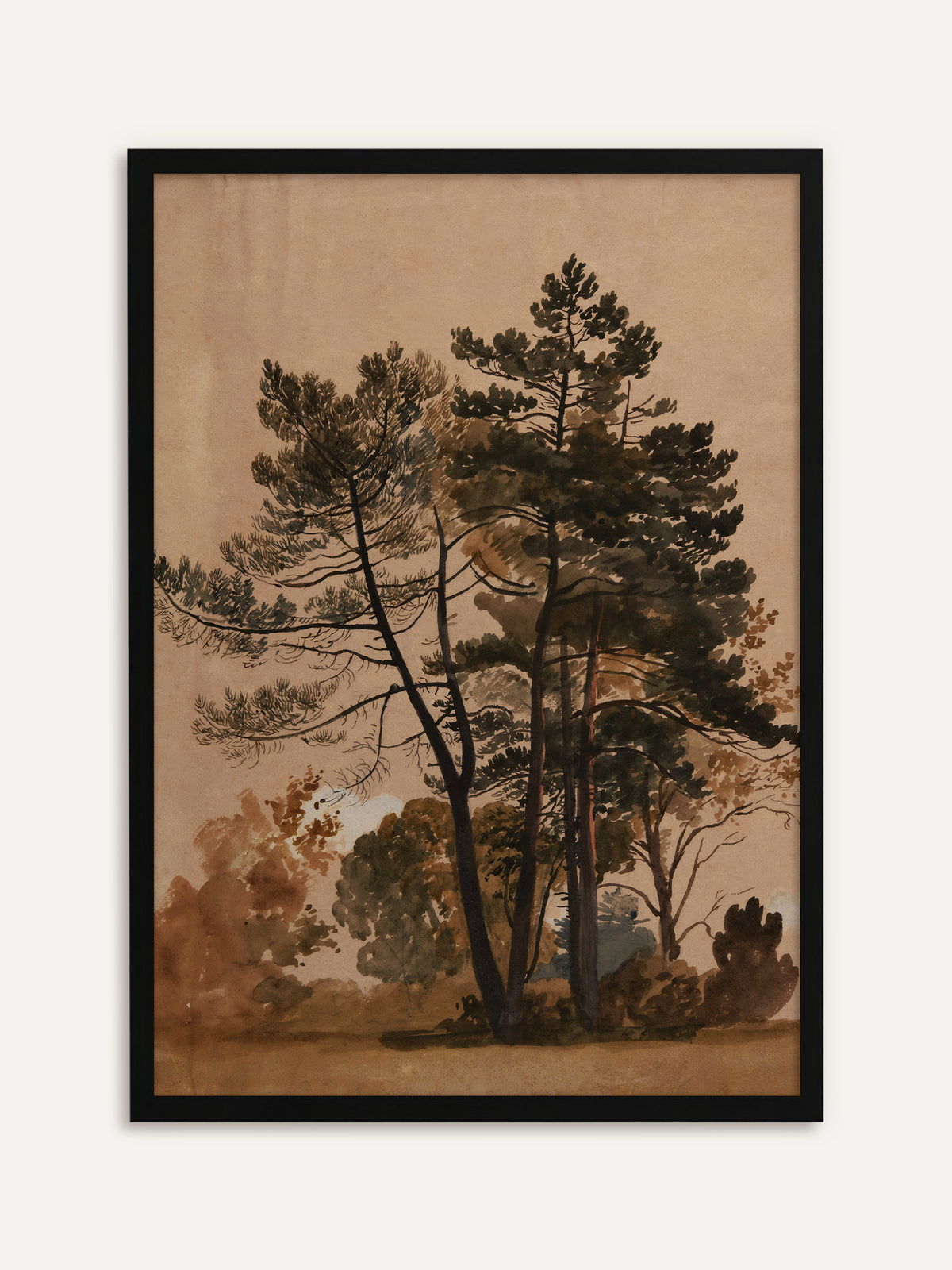 Gerahmtes Poster, das hohe Kiefern mit dunklem Nadelwerk vor herbstlichem Laub in Olivgrün und Rostbraun auf warmem, rosigem Beige zeigt. Mit schwarzem Rahmen treten die Kiefern grafisch hervor. #Rahmen_Schwarz