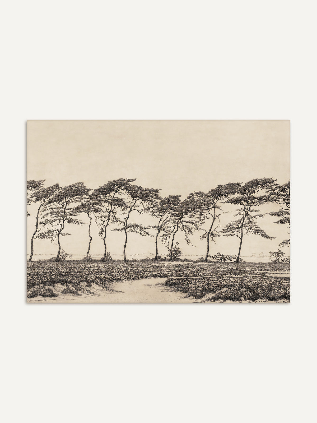 Vintage Kunstdruck einer Landschaft mit windgebeugten Kiefern im Querformat, fein in Schwarz auf warmem Beige gezeichnet. Vor den Bäumen liegt eine Heidefläche mit einem hellen, geschwungenen Sandweg. #Rahmen_Ohne Rahmen