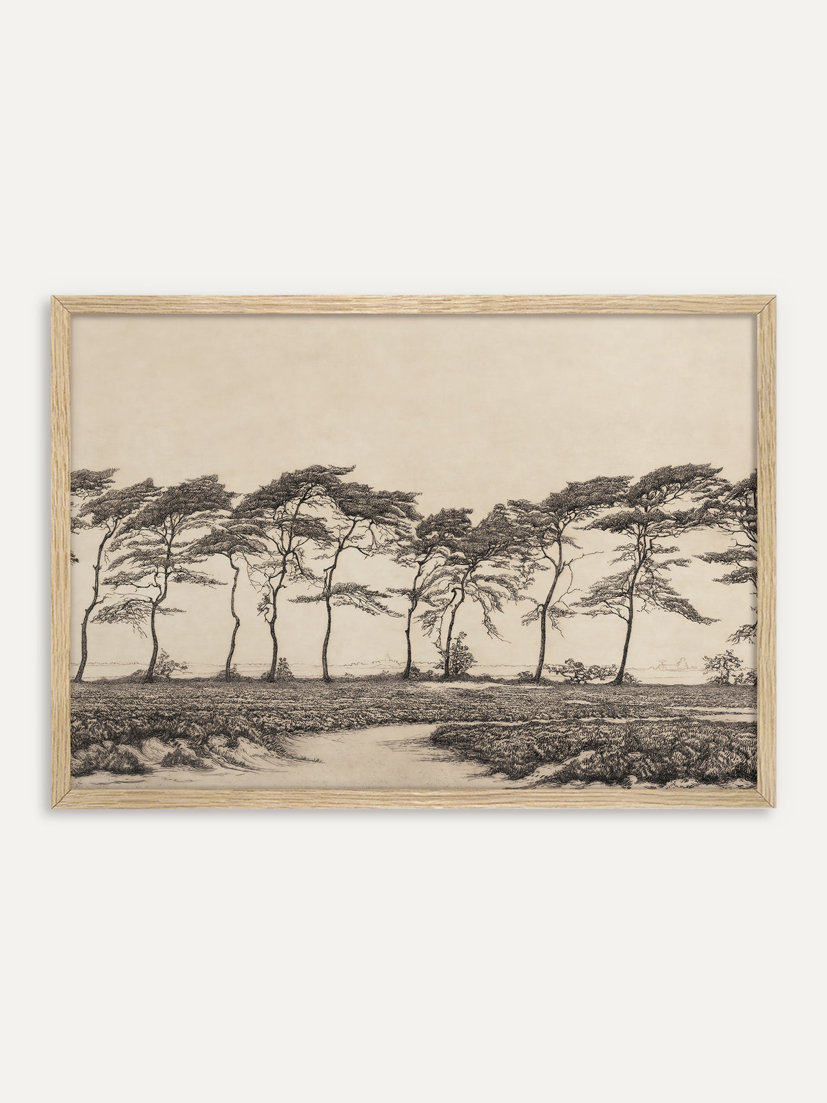 Kunstdruck, der eine Reihe windgebeugter Kiefern über einer Heidelandschaft mit hellem Sandweg zeigt, fein in Schwarz auf warmem Beige gezeichnet. Im Rahmen aus hellem Holz wirkt die Landschaft luftig und passt zu einer Einrichtung im Japandi-Stil. #Rahmen_Helles Holz