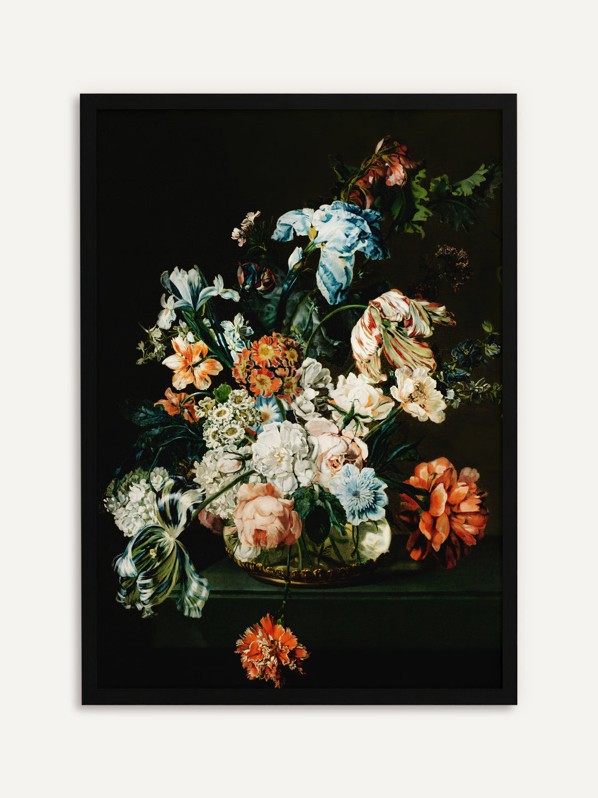 Gerahmtes Poster, das einen üppigen Strauß aus Iris, geflammten Tulpen und Rosen in einer Glasschale vor fast schwarzem Grund zeigt. Mit schwarzem Rahmen verschmilzt die Kante mit dem Grund und die Blüten leuchten. #Rahmen_Schwarz