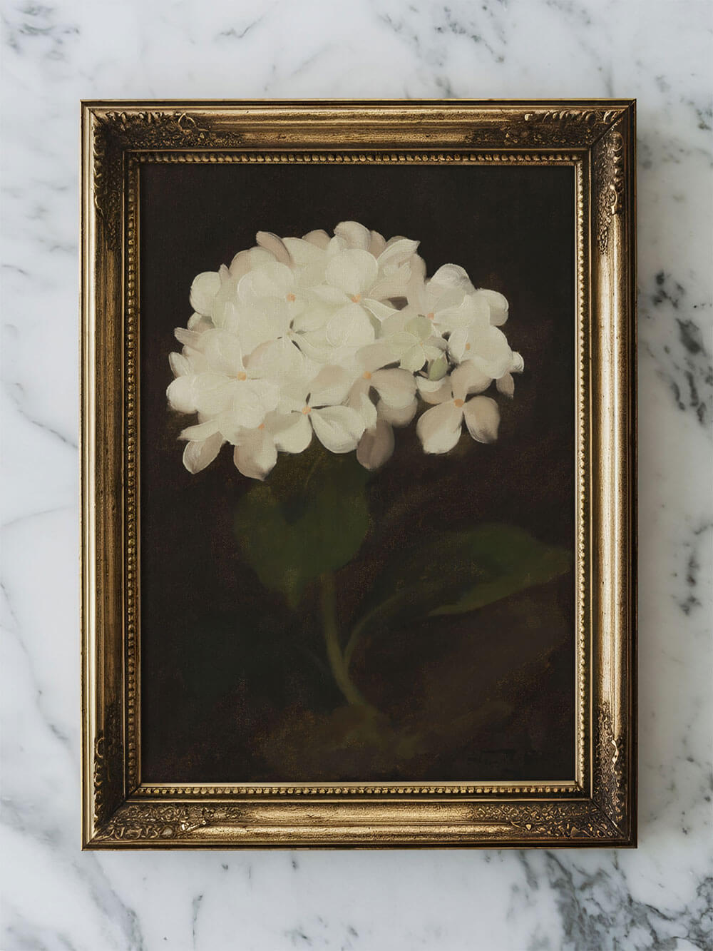 Ein gerahmter Kunstdruck auf einer Marmoroberfläche zeigt zarte weiße Hortensienblüten vor einem tiefdunklen Hintergrund. Der goldene, kunstvolle Rahmen verleiht dem Bild eine elegante Vintage-Note. Die weichen, pastelligen Blütenblätter kontrastieren harmonisch mit dem schwarzen Hintergrund.