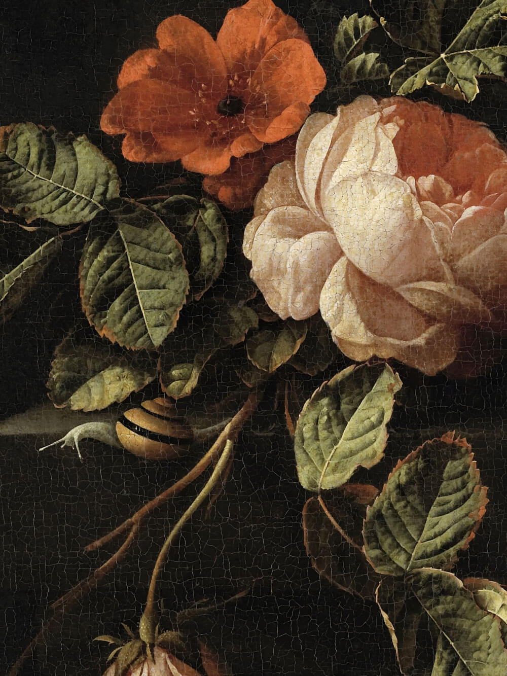 Nahaufnahme eines Barock-Stilllebens mit einer cremeweißen Rose und einer leuchtend orangefarbenen Blume, umgeben von detailreichen grünen Blättern. Eine kleine Schnecke kriecht über einen der Stängel. Der dunkle Hintergrund verstärkt die intensiven Farben der Blumen und Blätter, wodurch das Bild eine elegante, ruhige Atmosphäre ausstrahlt. Feine Risse in der Oberfläche des Gemäldes verleihen ihm eine authentische, gealterte Textur.