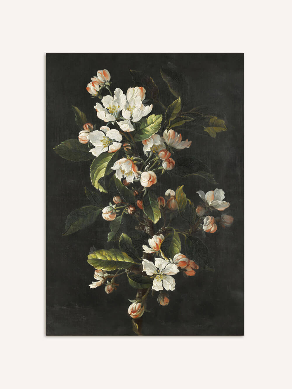 Ein Kunstdruck, der einen zarten Zweig mit weißen Blüten und leicht rosa angehauchten Knospen zeigt, vor einem tiefen, dunklen Hintergrund. Die feinen Details der Blätter und Blüten heben sich klar vom schwarzen Hintergrund ab und erzeugen eine elegante, ruhige Atmosphäre. Die natürlichen Grüntöne der Blätter und die leuchtenden weißen Blüten verleihen dem Bild eine klassische, zeitlose Schönheit.