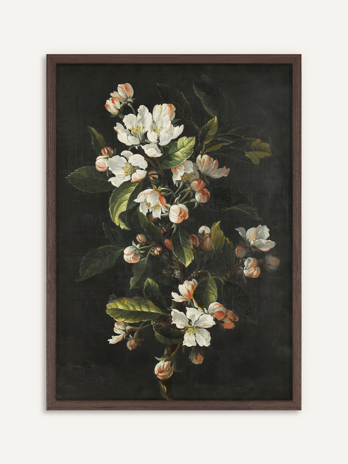 Poster, das einen blühenden Kirschzweig mit weißen Blüten, rosa Knospen und grünen Blättern vor dunklem Hintergrund zeigt. Der Rahmen aus dunklem Holz unterstreicht die Dark-Academia-Stimmung des dunklen Hintergrunds. #Rahmen_Dunkles Holz