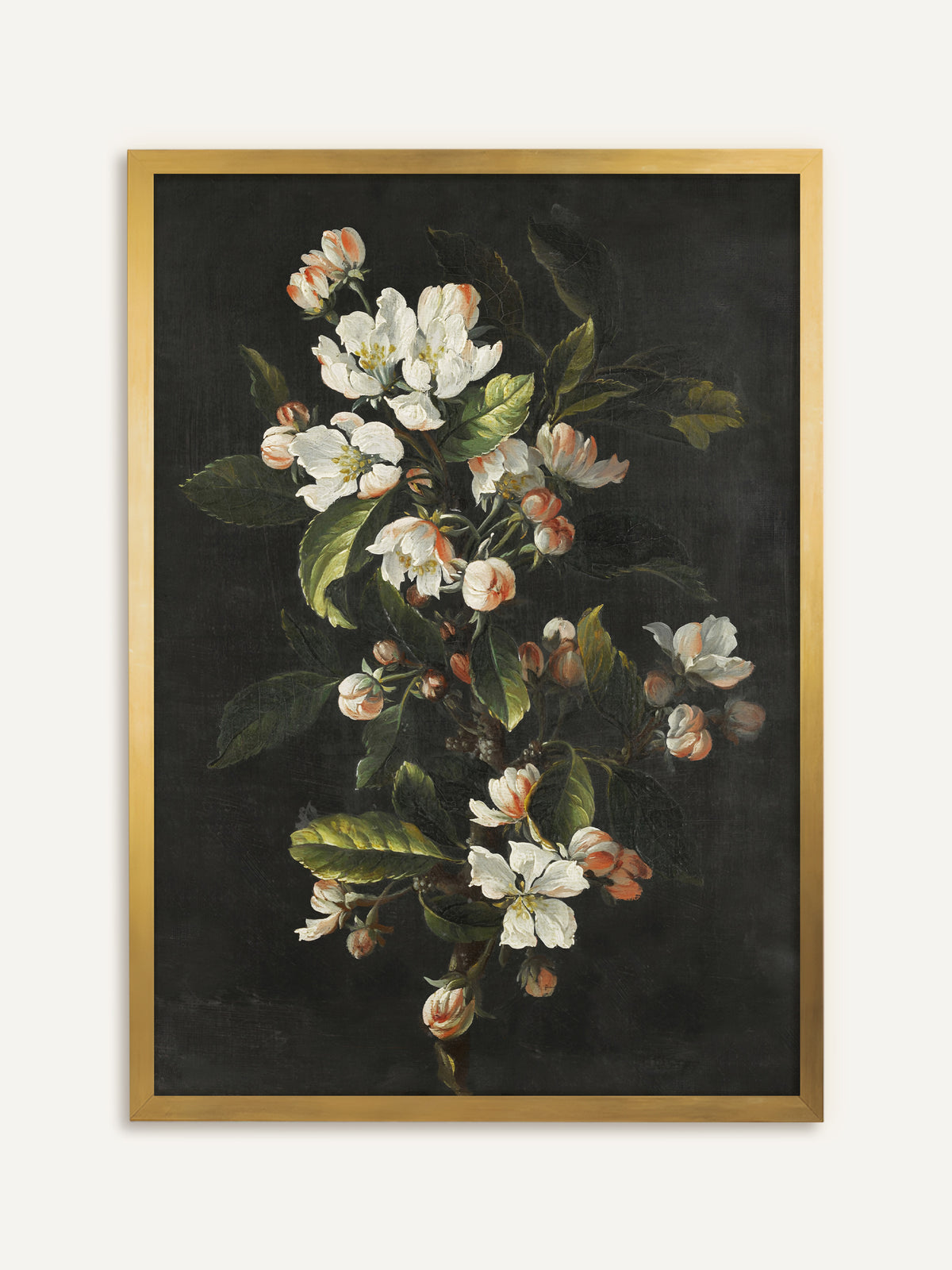 Wandbild, das einen blühenden Kirschzweig mit weißen Blüten, rosa Knospen und grünen Blättern vor dunklem Hintergrund zeigt. Im goldenen Rahmen wirkt das barocke Blumenstillleben wie ein antikes Ölgemälde. #Rahmen_Gold