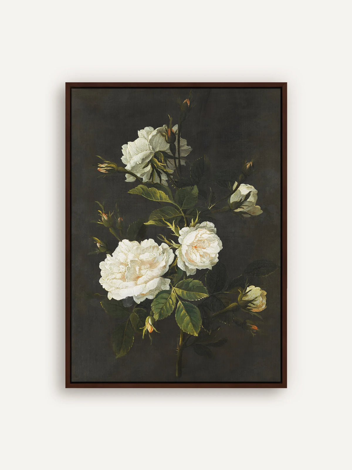 Dark Academia Leinwandbild mit weißen Rosen im dunkelbraunen Schattenfugenrahmen. Drei geöffnete Blüten, mehrere Knospen und gezackte grüne Blätter heben sich vom fast schwarzen Hintergrund ab. #Rahmen_Braun