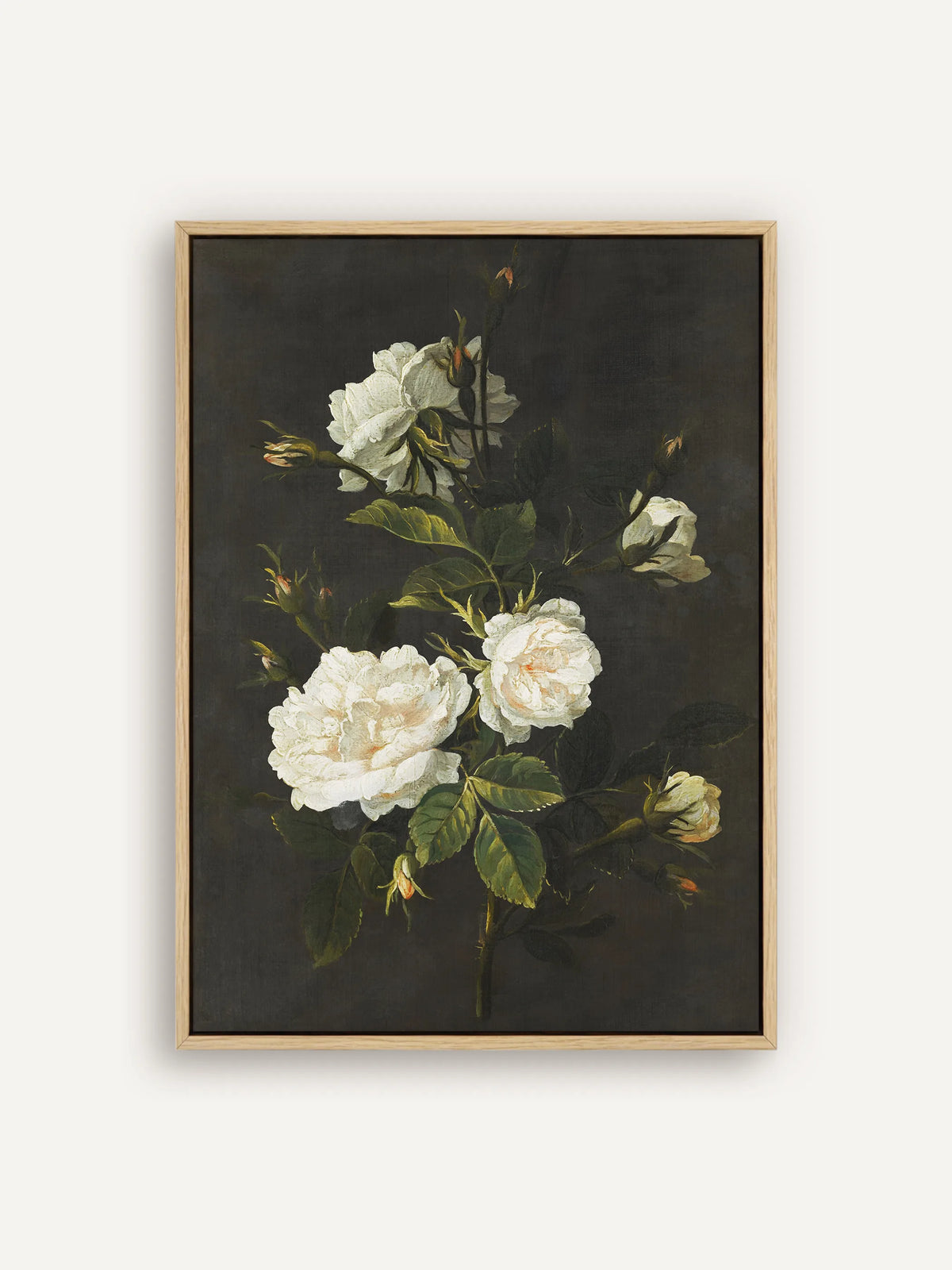 Leinwandbild mit weißen Rosen und Knospen an einem Zweig vor dunklem Grund, im naturfarbenen Schattenfugenrahmen. Die gefüllten Blüten zeigen einen Hauch Apricot, das Laub ist kräftig grün. #Rahmen_Natur
