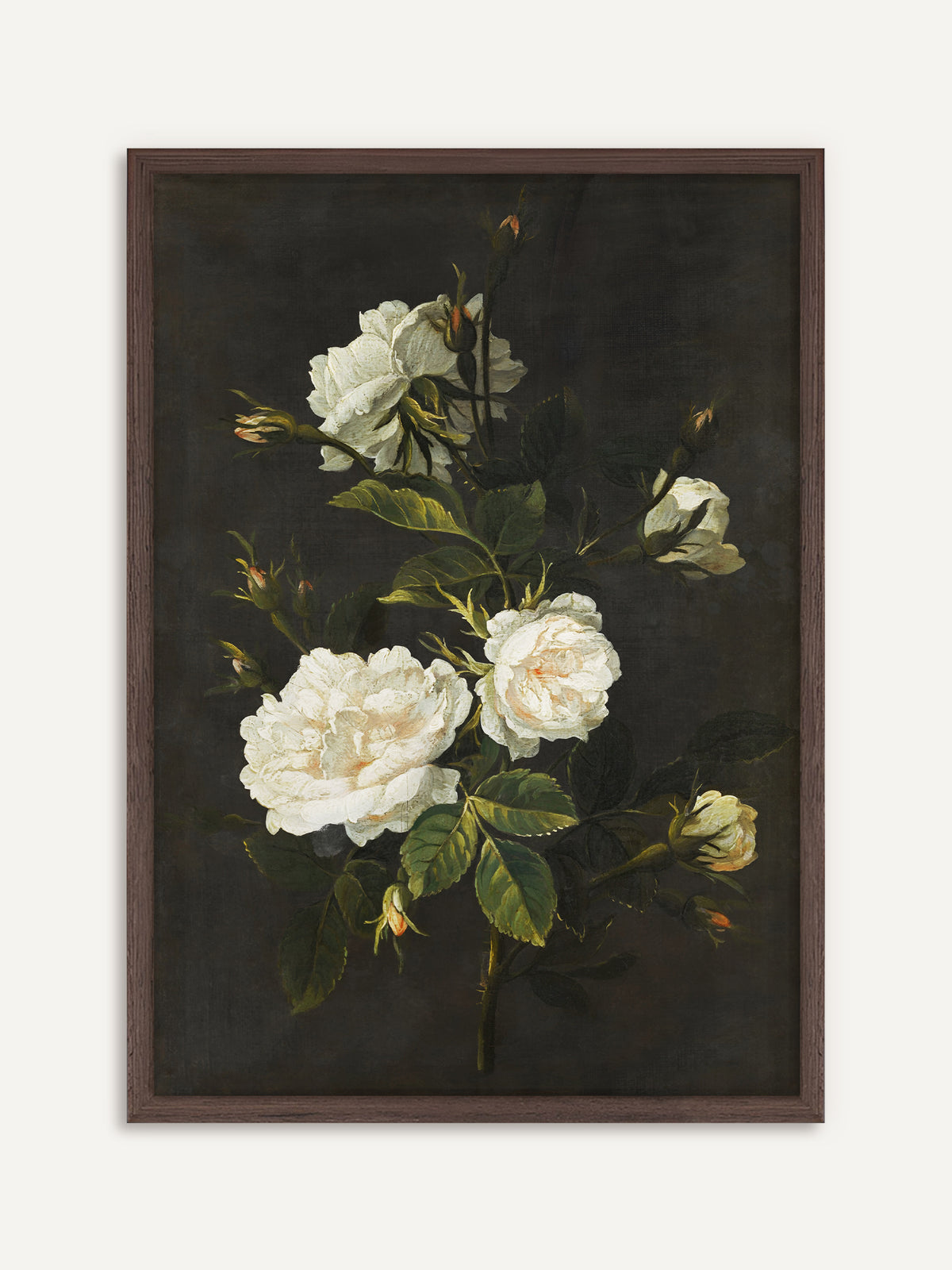 Poster, das weiße Rosen mit zartrosa Herz, kleine Knospen und dunkelgrüne Blätter vor dunkelbraunem Hintergrund zeigt. Der Rahmen aus dunklem Holz unterstreicht die Dark-Academia-Stimmung des Motivs. #Rahmen_Dunkles Holz