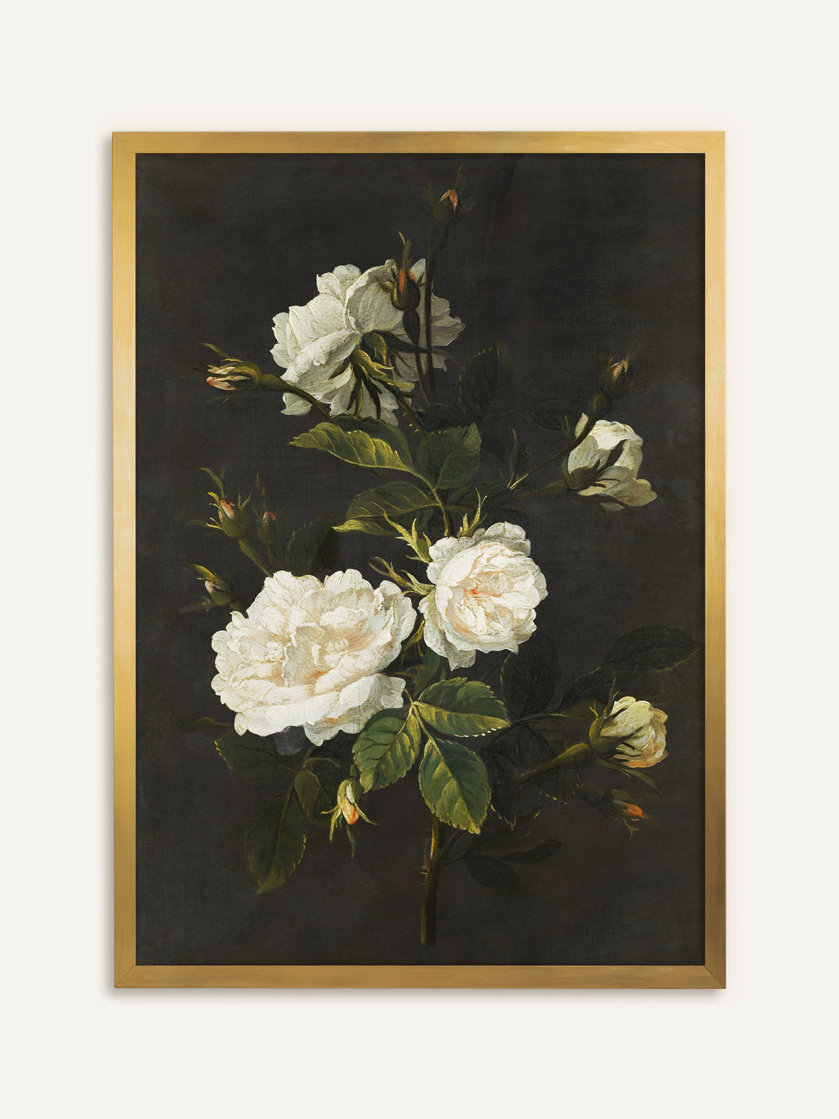 Wandbild, das weiße Rosen mit zartrosa Herz, kleine Knospen und dunkelgrüne Blätter vor dunkelbraunem Hintergrund zeigt. Im goldenen Rahmen wirken die Rosen wie auf einem antiken Ölgemälde. #Rahmen_Gold