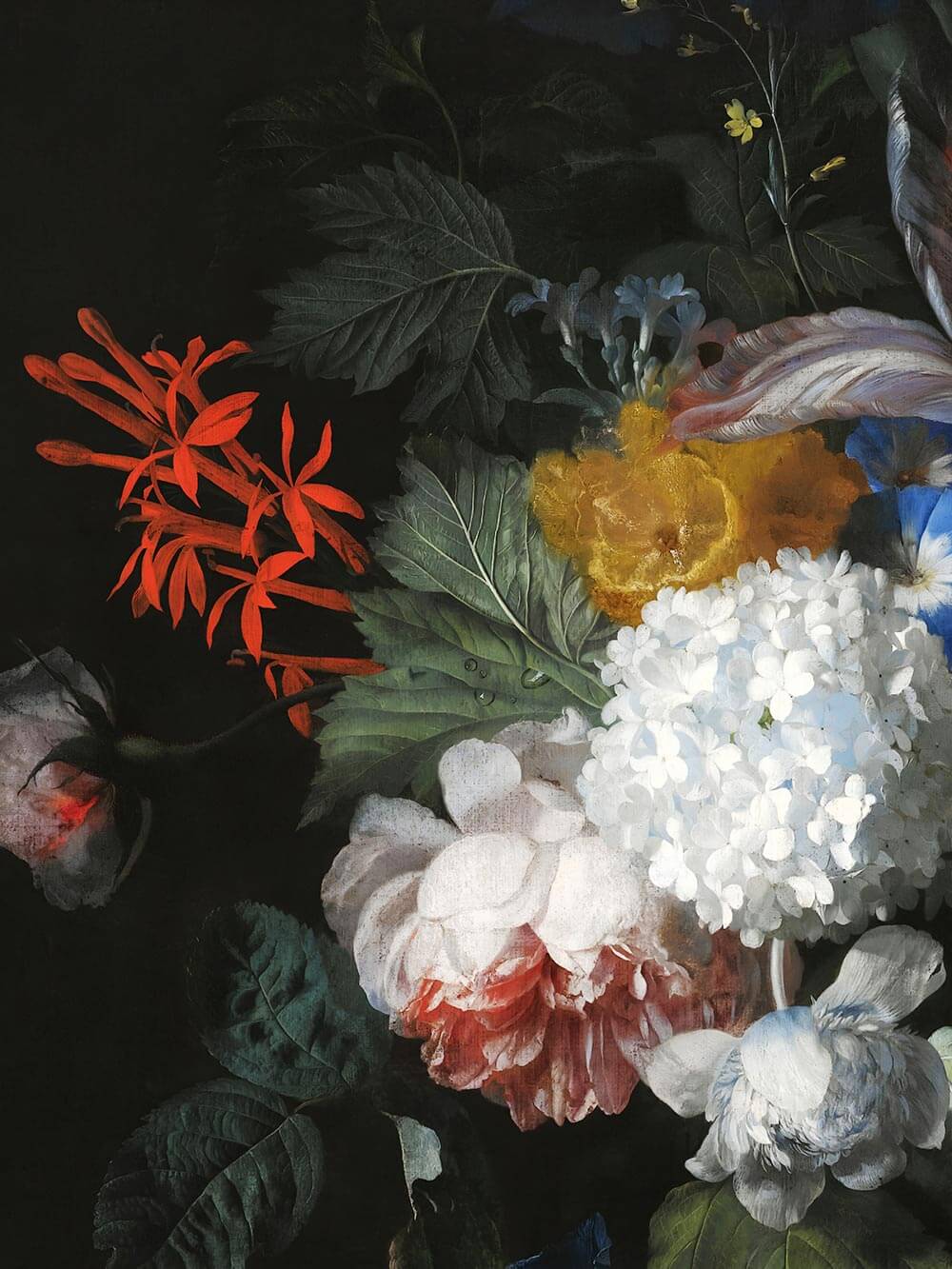 Detail des barocken Blumen Kunstdrucks mit weißen, roten und gelben Blüten auf dunklem Hintergrund. Die feinen Pinselstriche und satten Farben betonen die Tiefe der Illustration.