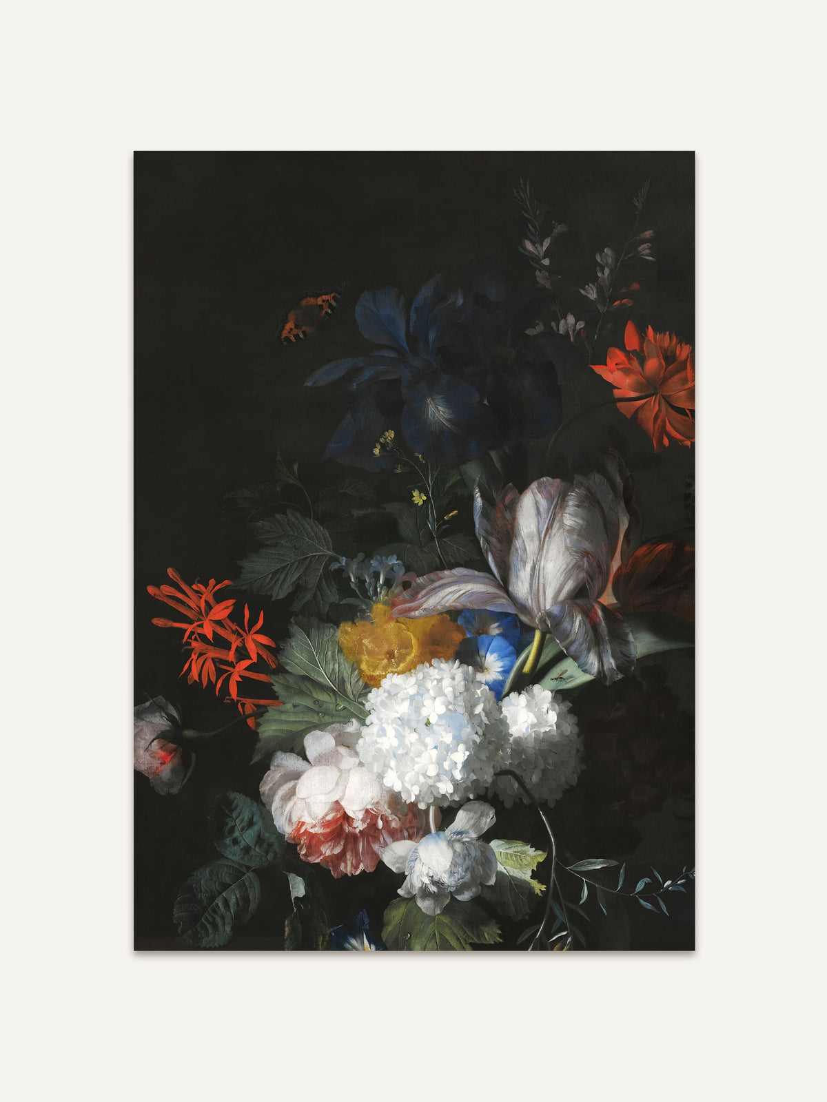 Barocker Blumen Kunstdruck mit üppigem Strauß aus Tulpen, Hortensien und Pfingstrosen auf schwarzem Hintergrund. Die kräftige Farbpalette verleiht dem Vintage Wandbild besondere Eleganz. #Rahmen_Ohne Rahmen