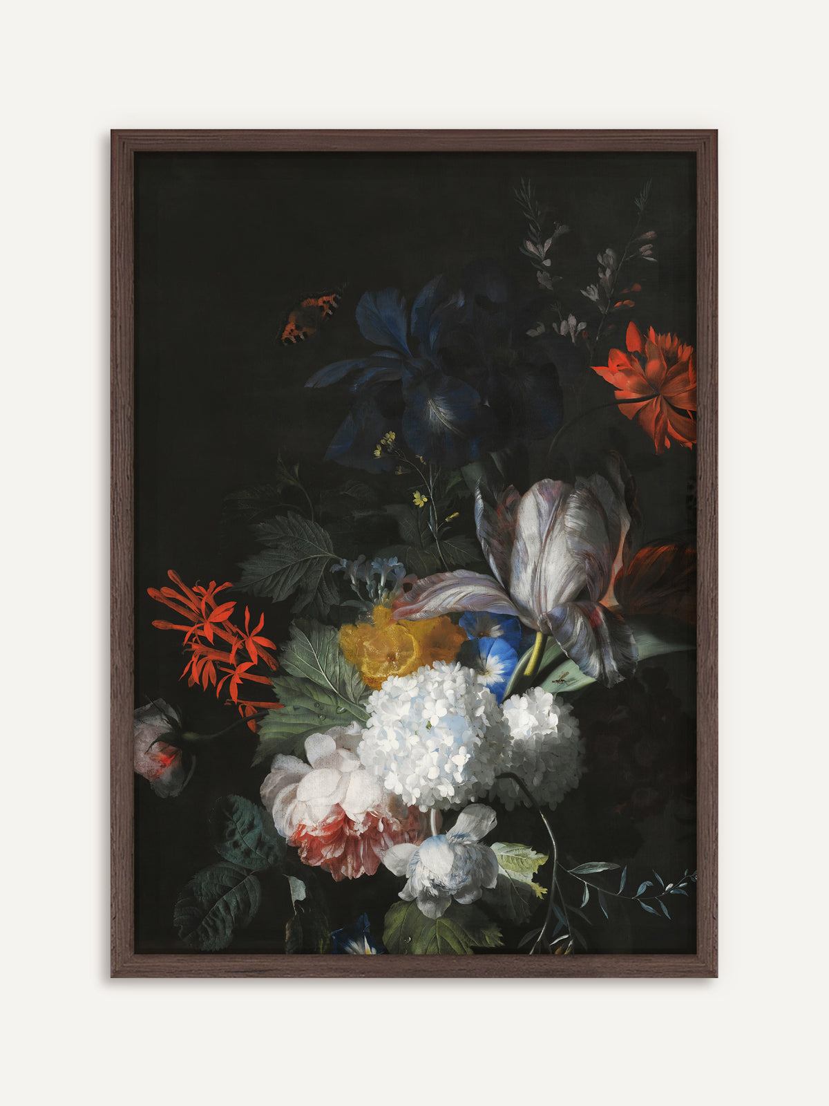 Poster, das einen üppigen Strauß aus weißem Schneeball, gestreifter Tulpe, dunkelblauer Iris, rosa Rose und roten Blüten vor schwarzem Hintergrund zeigt, oben ein kleiner Schmetterling. Der Rahmen aus dunklem Holz verstärkt die moody Tiefe der dunklen Blüten. #Rahmen_Dunkles Holz