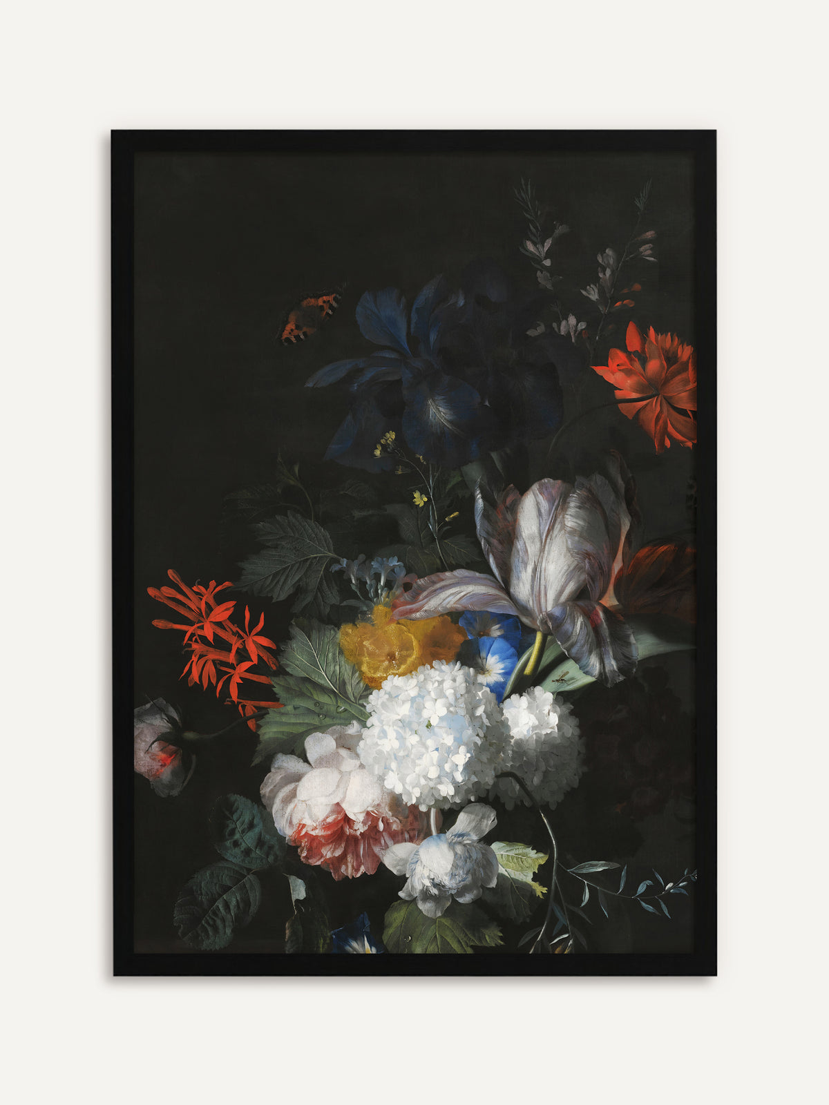 Gerahmtes Poster, das einen üppigen Strauß aus weißem Schneeball, gestreifter Tulpe, dunkelblauer Iris, rosa Rose und roten Blüten vor schwarzem Hintergrund zeigt, oben ein kleiner Schmetterling. Mit schwarzem Rahmen treten Weiß und Rot klar hervor, passend zu Dark-Academia-Räumen. #Rahmen_Schwarz