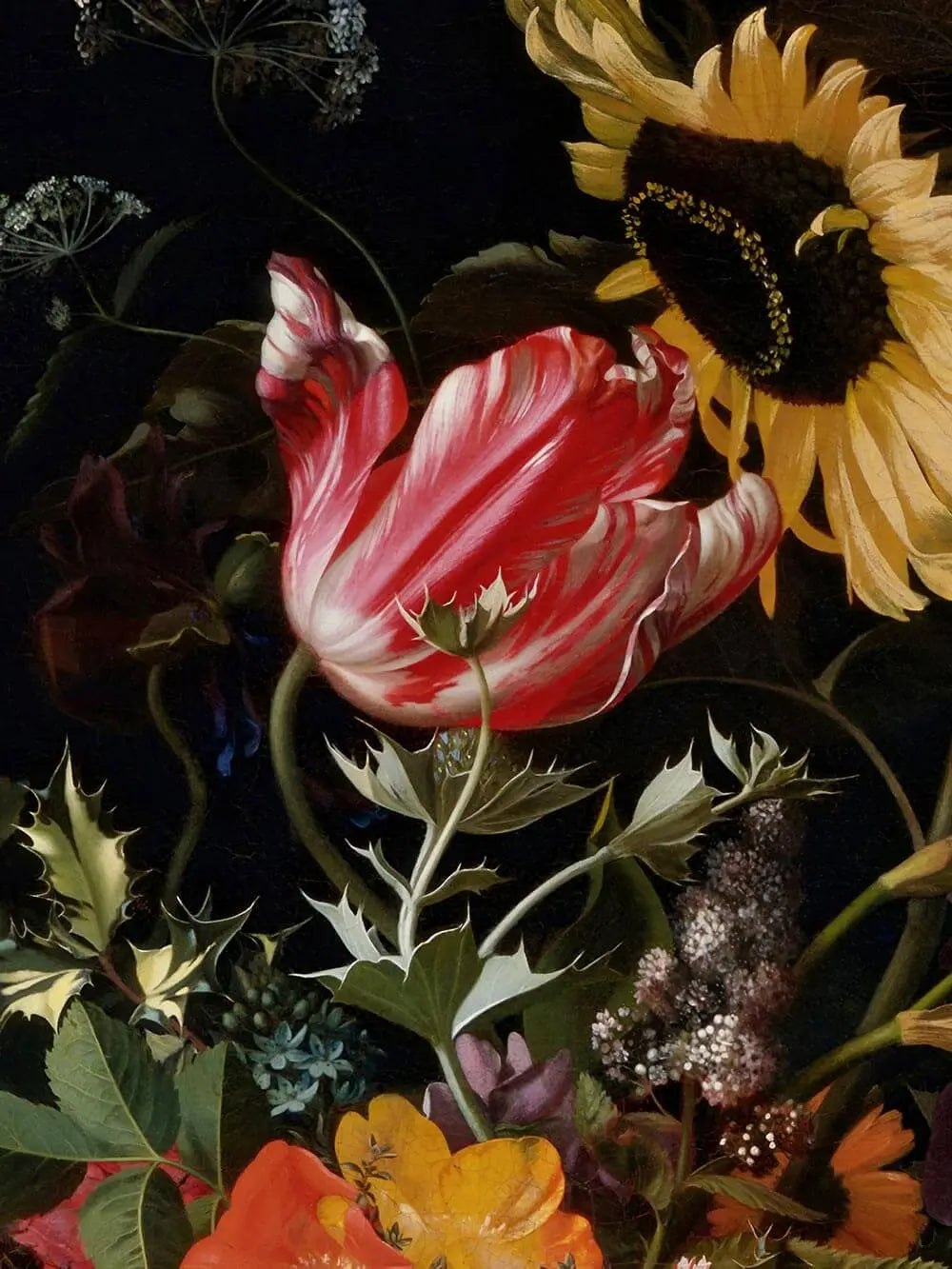 Nahaufnahme des Blumen Kunstdrucks zeigt eine rot-weiße Tulpe neben einer gelben Sonnenblume. Die kräftigen Farben und feinen Details verleihen dem barocken Stillleben Tiefe.
