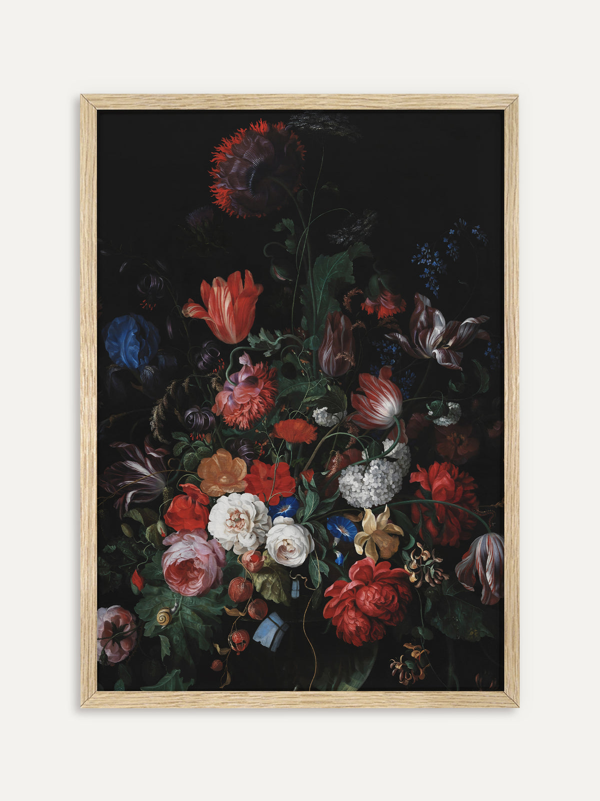 Kunstdruck, der einen dichten Strauß aus roten und rosa Rosen, gestreiften Tulpen, blauer Iris und weißem Schneeball vor schwarzem Hintergrund zeigt, unten eine kleine Schnecke. Im hellen Holzrahmen wirken die Farben frisch und leicht. #Rahmen_Helles Holz