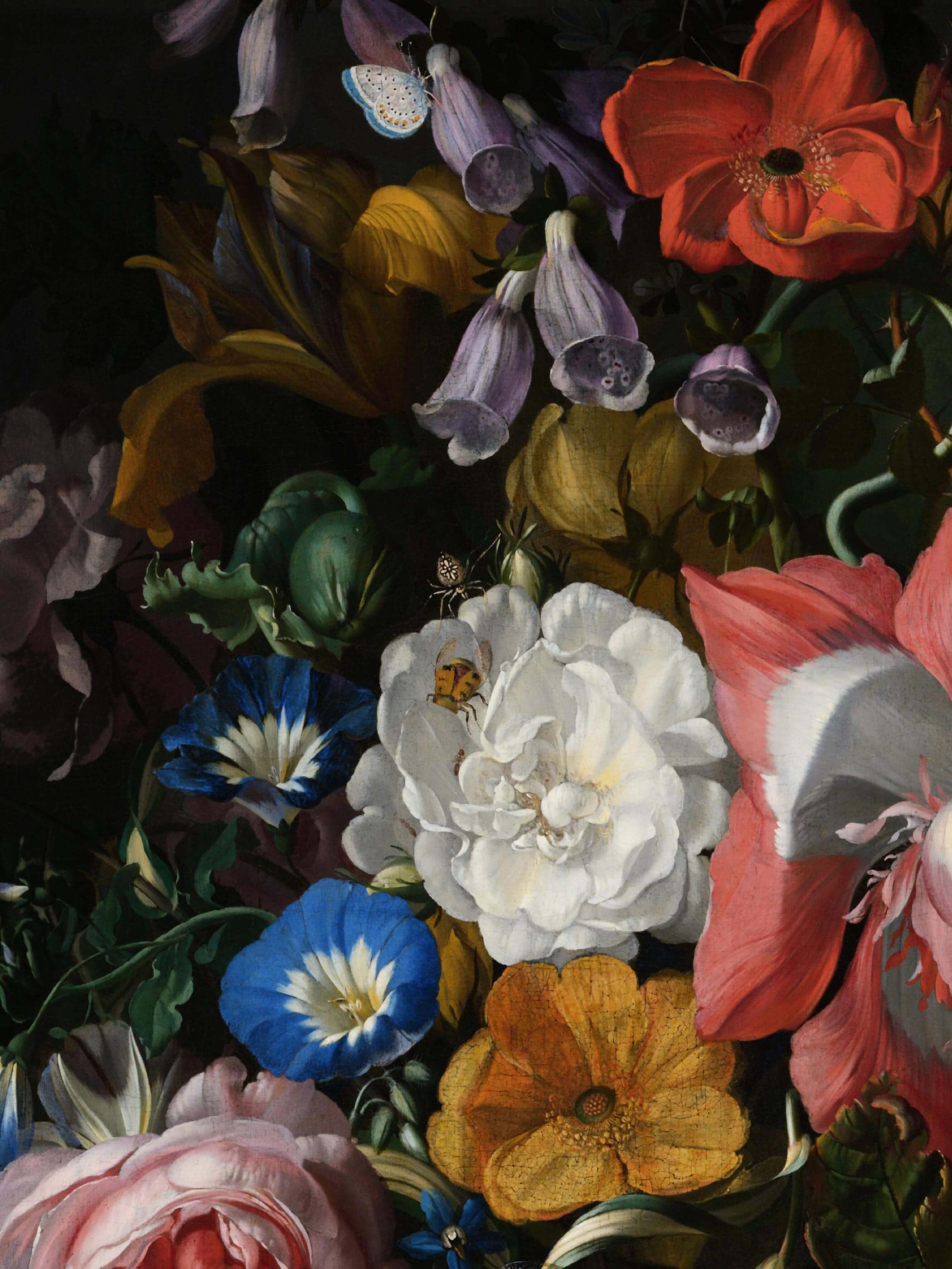 Nahaufnahme der Fingerhut-Blüten, weißen Rose und blauen Prunkwinde mit einem kleinen Käfer auf den Blütenblättern. Die feine Maltechnik und die dramatische Lichtführung zeigen die Qualität dieses Barock Kunstdrucks im Detail.