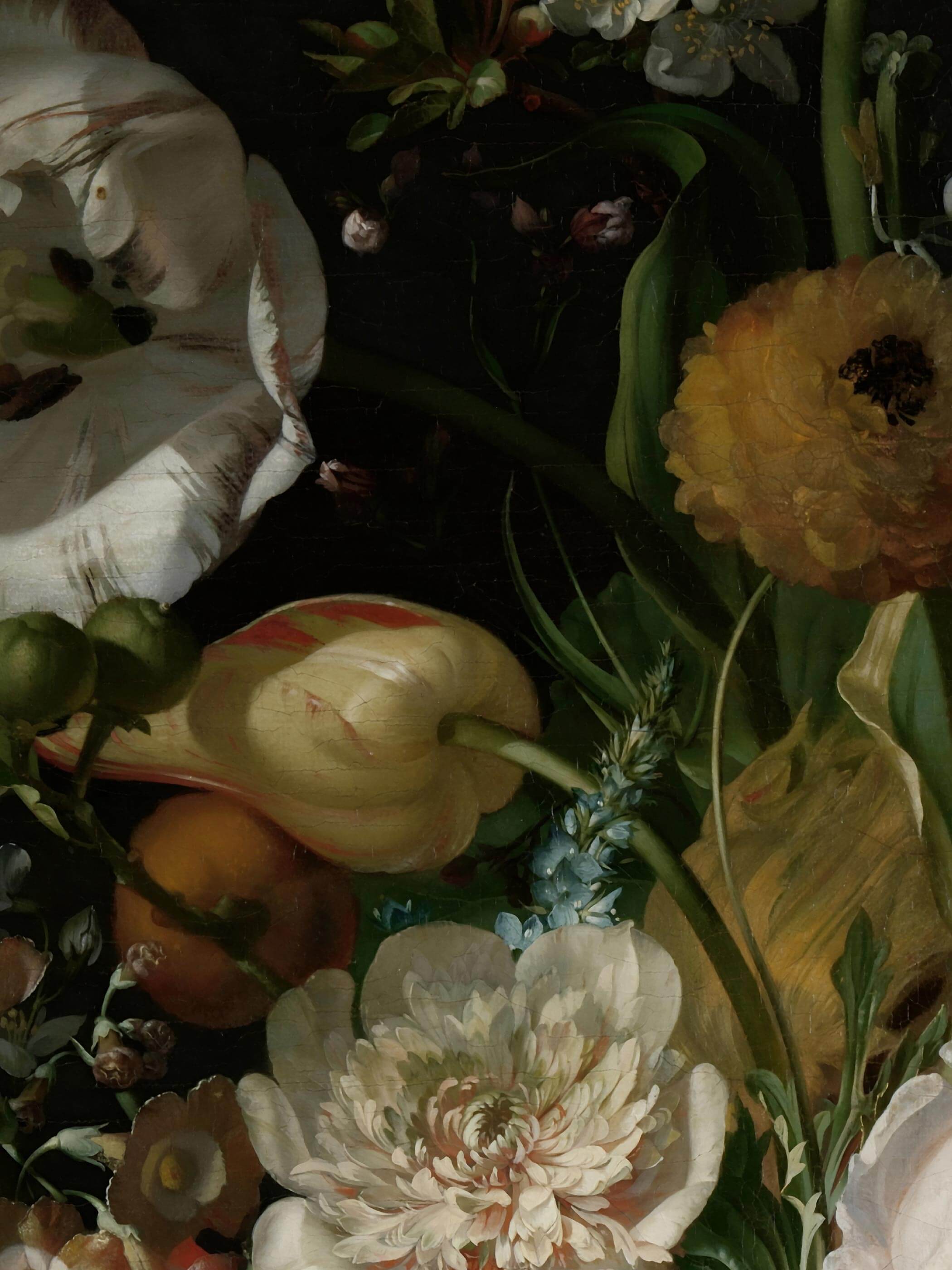 Nahaufnahme der gelben Ranunkel, weißen Pfingstrose und gestreiften Tulpe mit feinen botanischen Details vor dunklem Hintergrund. Die naturgetreue Maltechnik und die warmen Cremetöne zeigen die Qualität dieses Barock Kunstdrucks im Detail.