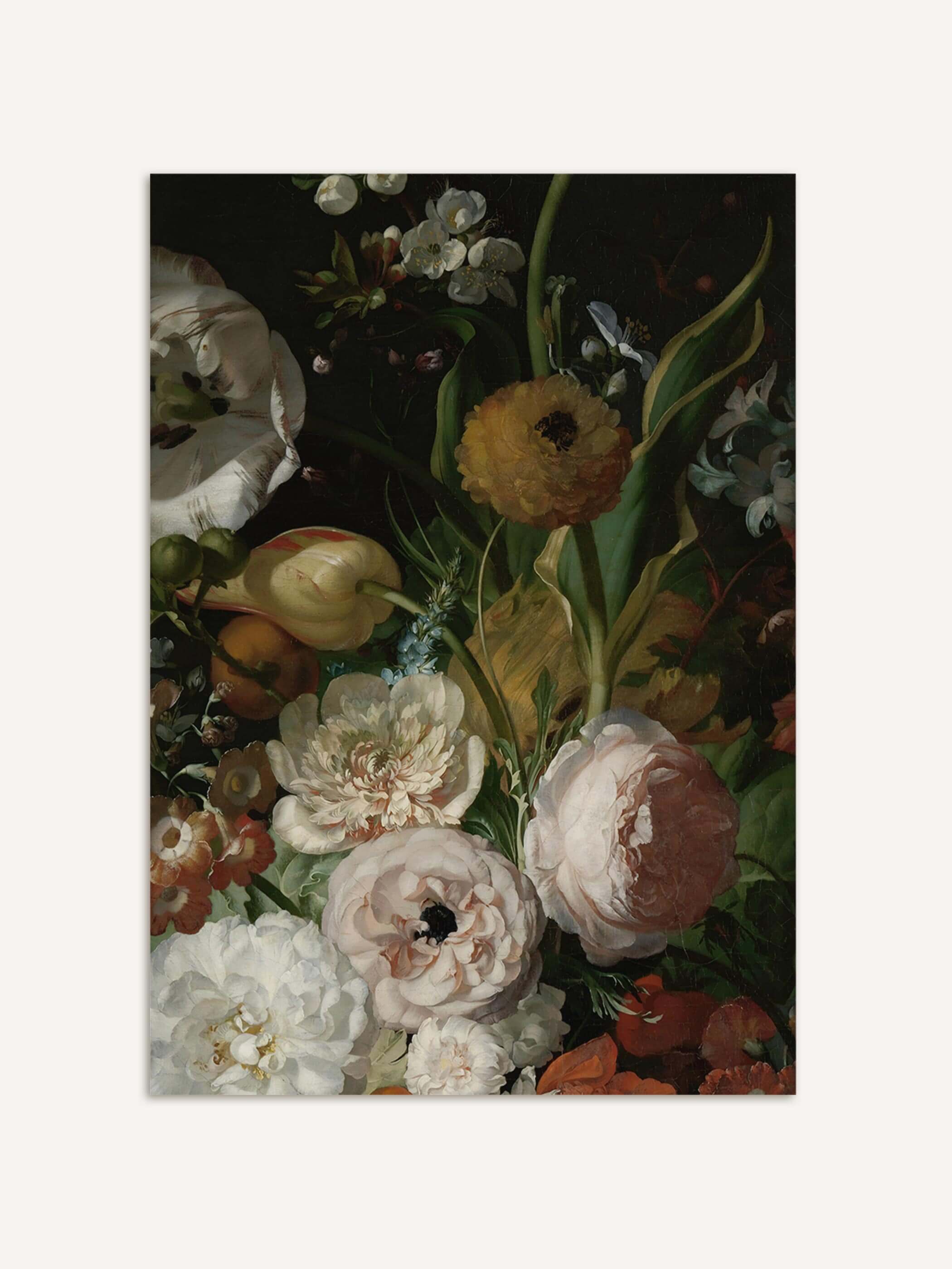 Barockes Blumenstillleben mit cremefarbenen Pfingstrosen, gelben Ranunkeln und einer gestreiften Tulpe vor dunklem Hintergrund. Der Kunstdruck zeigt die gedämpfte, warme Farbpalette und die feine botanische Detailgenauigkeit.
