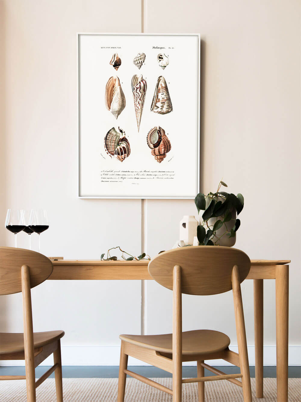 Vintage-Muschel-Illustration als Kunstdruck, eingerahmt und an einer hellen Wand über einem minimalistischen Esstisch mit zwei Weingläsern und Pflanzen dekoriert, modernes Interieur.