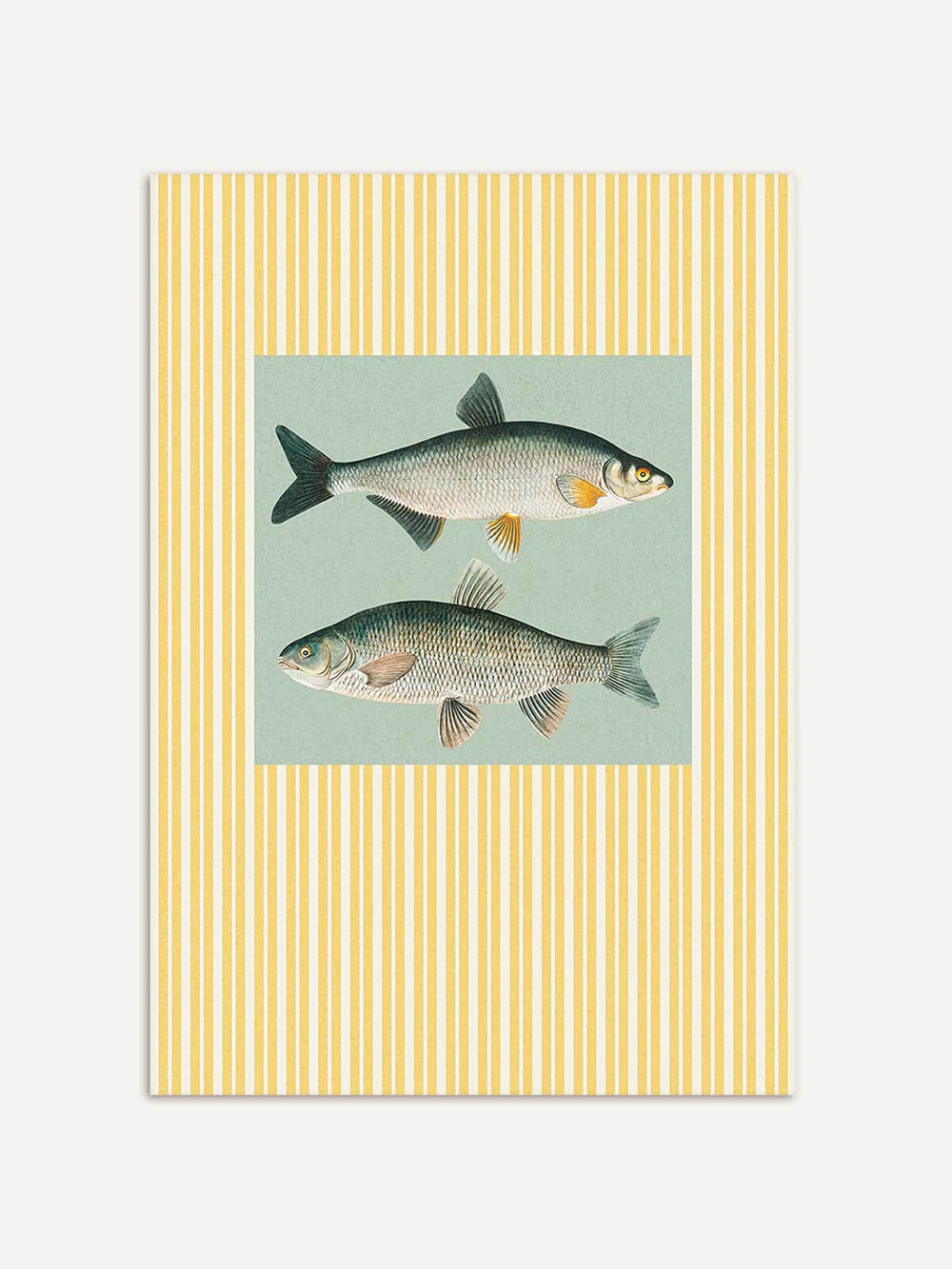 Vintage Kunstdruck mit zwei naturgetreu gezeichneten Fischen auf mintgrünem Grund. Gerahmt von einem Streifenmuster in Sonnengelb und Weiß.