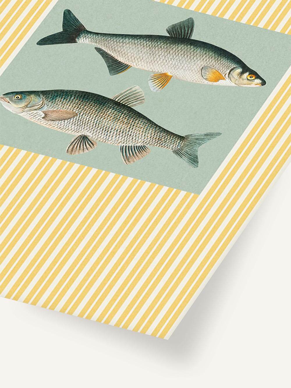 Detailansicht der Fisch-Illustration mit feiner Schuppenzeichnung und sanften Grüntönen. Das gelb-weiße Streifenmuster rahmt das Motiv kontrastreich ein.